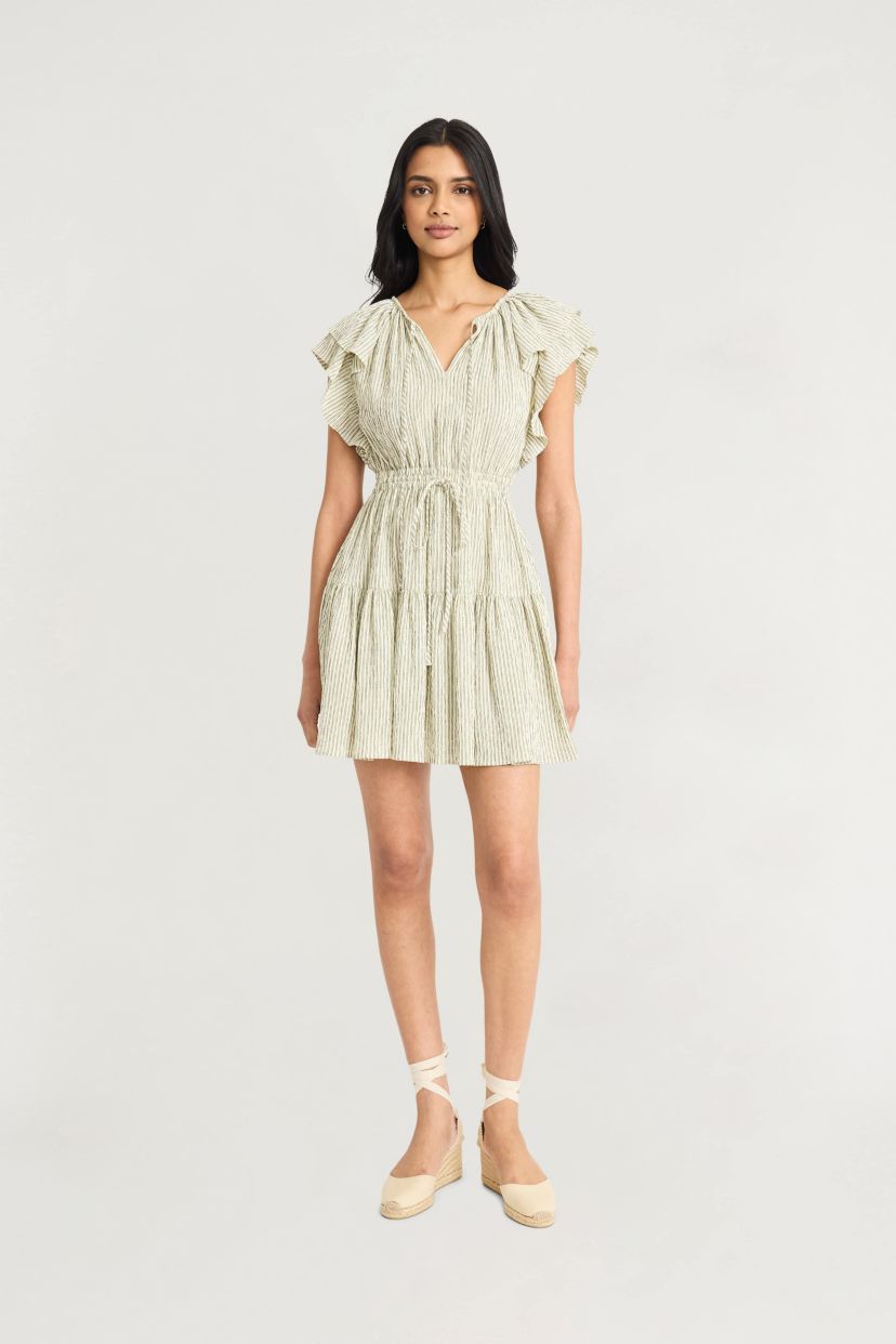 Striped Ruffle Sleeve Mini Dress