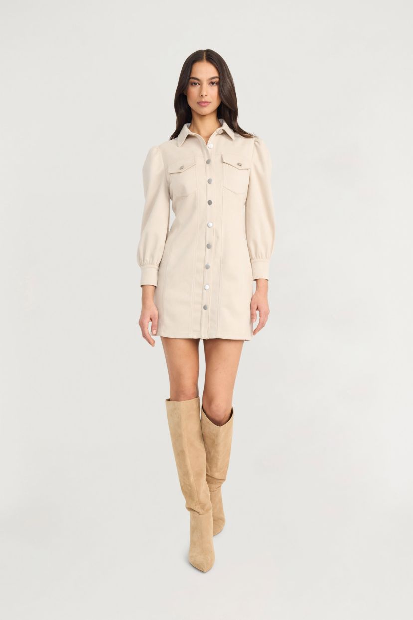 LONG SLEEVE SUEDE DRESS