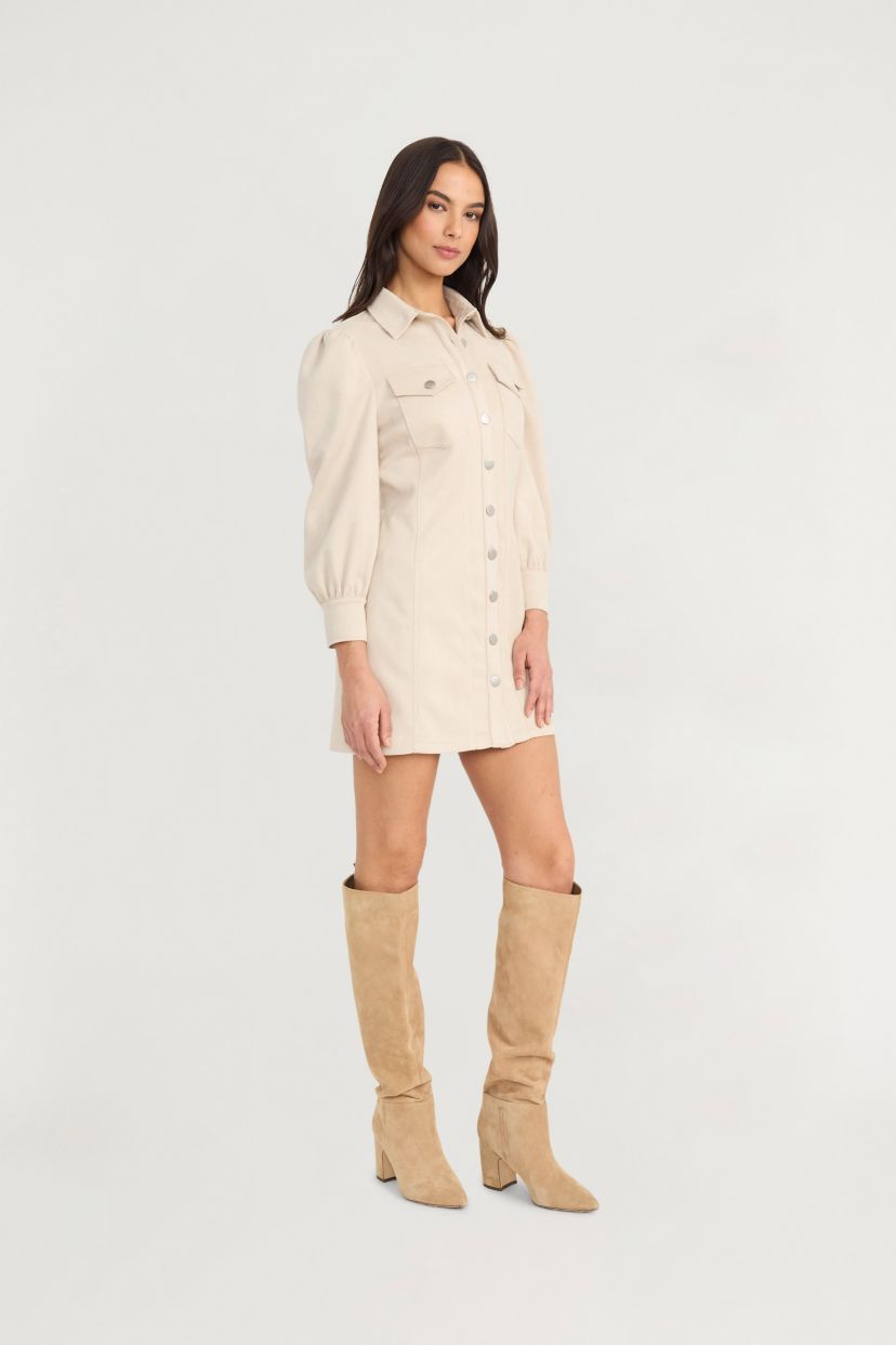 LONG SLEEVE SUEDE DRESS