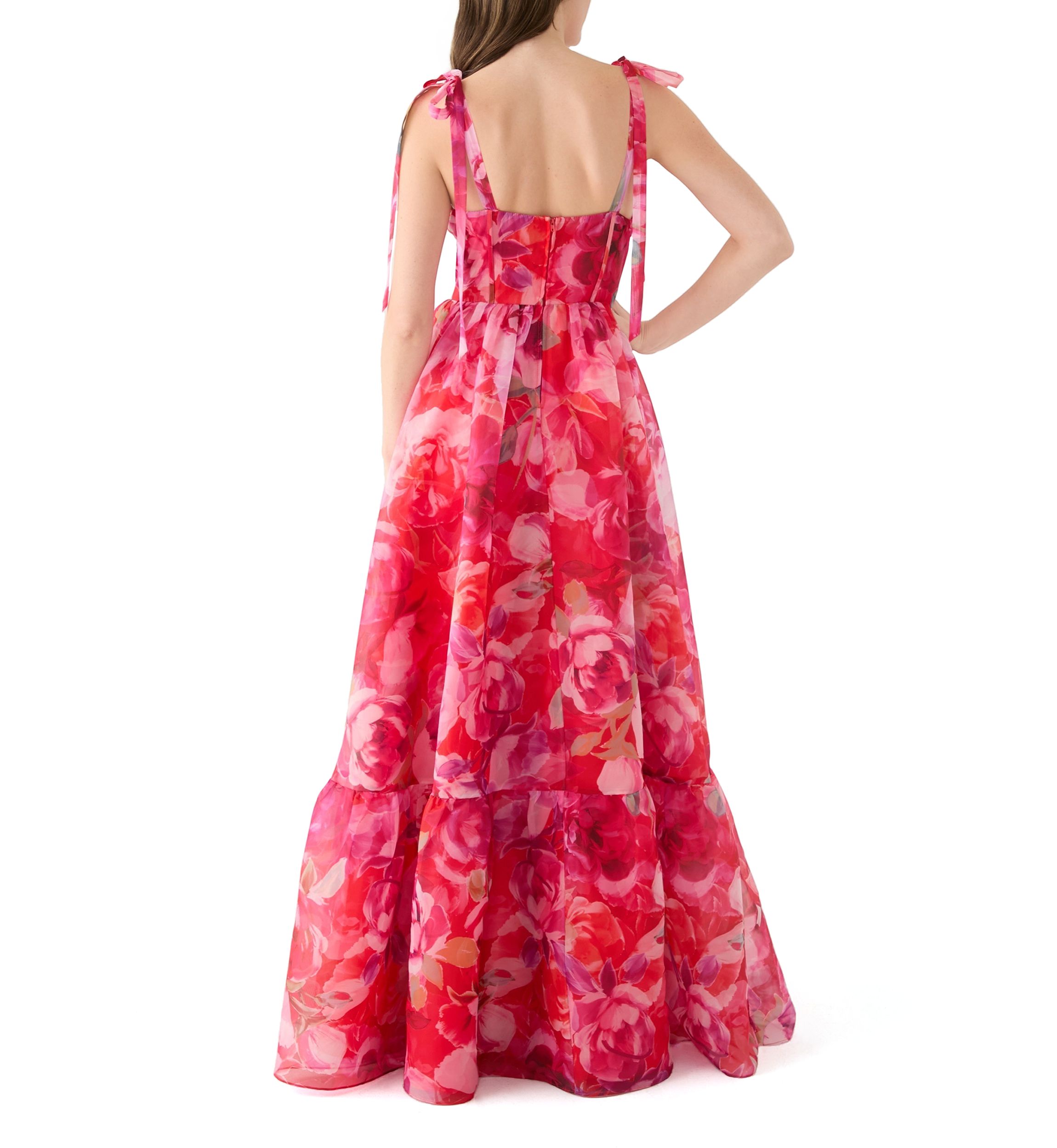 Womens Sleeveless Tie Watercolor Print Organza Gown 