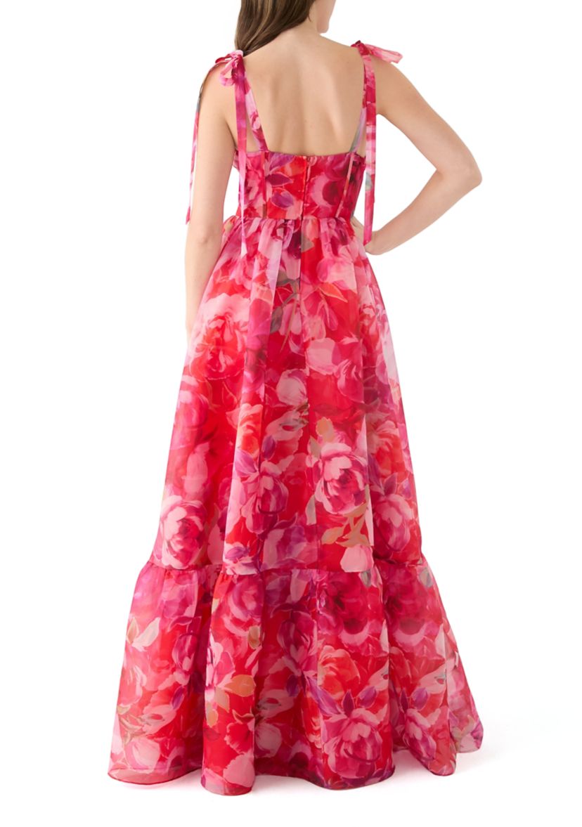 Womens Sleeveless Tie Watercolor Print Organza Gown 