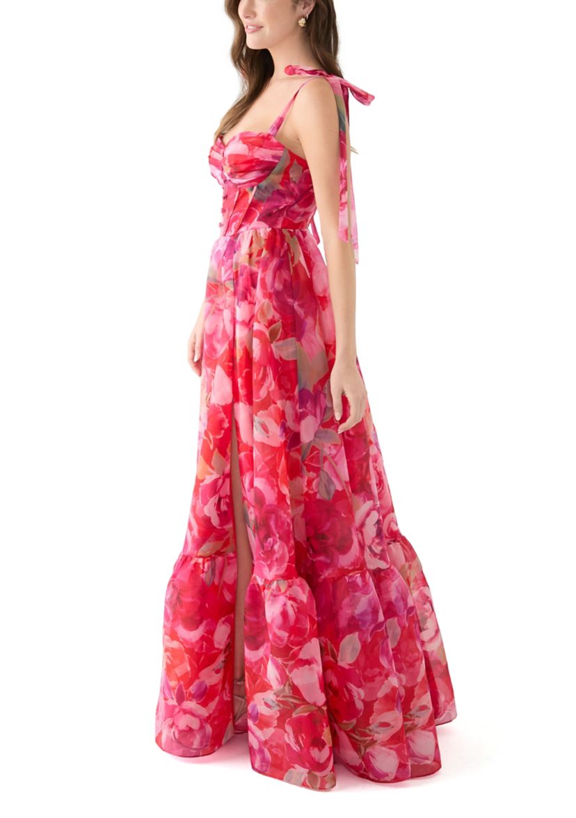 Womens Sleeveless Tie Watercolor Print Organza Gown 