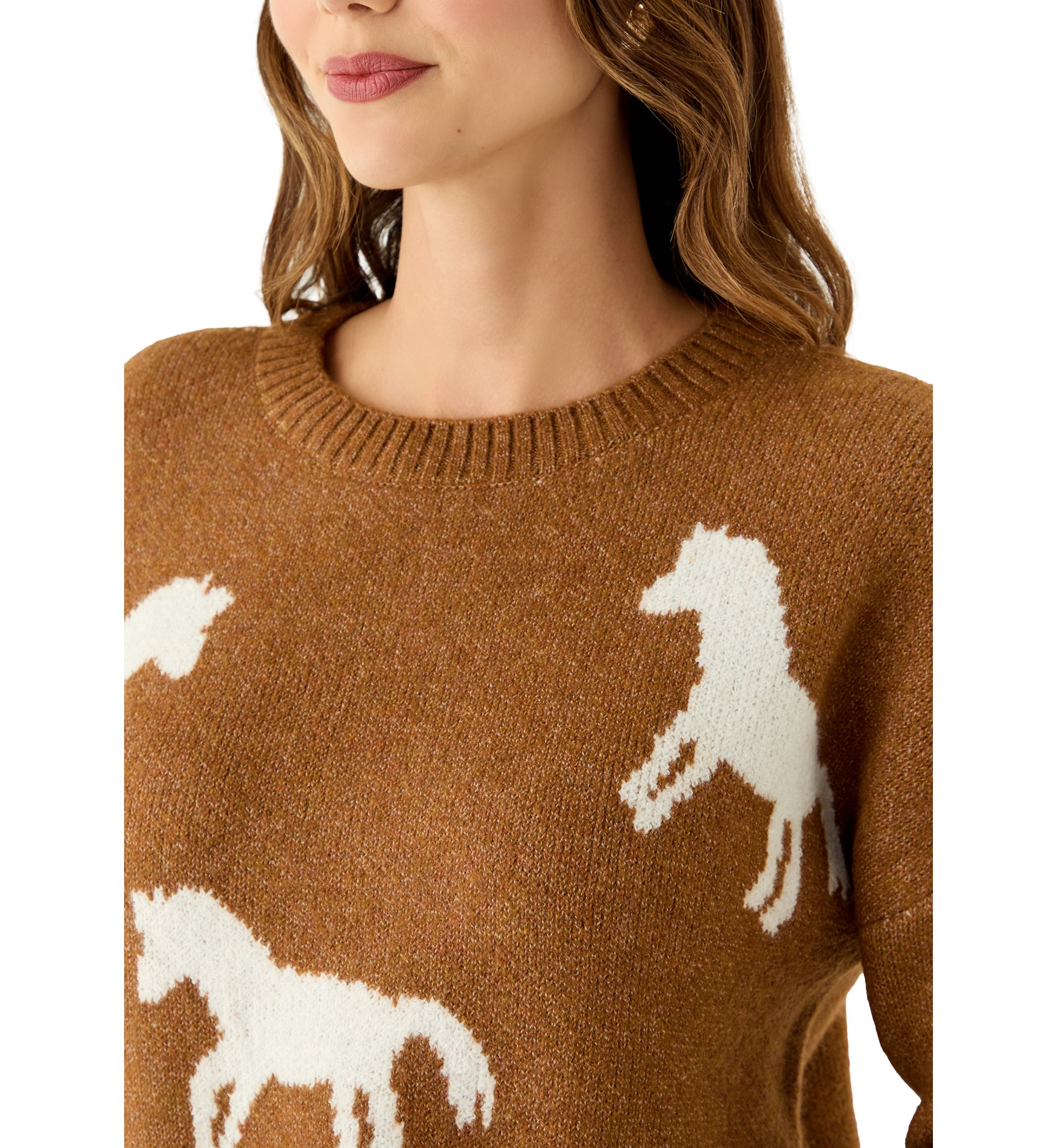 Womens Long Sleeve All Over Horse Sweater