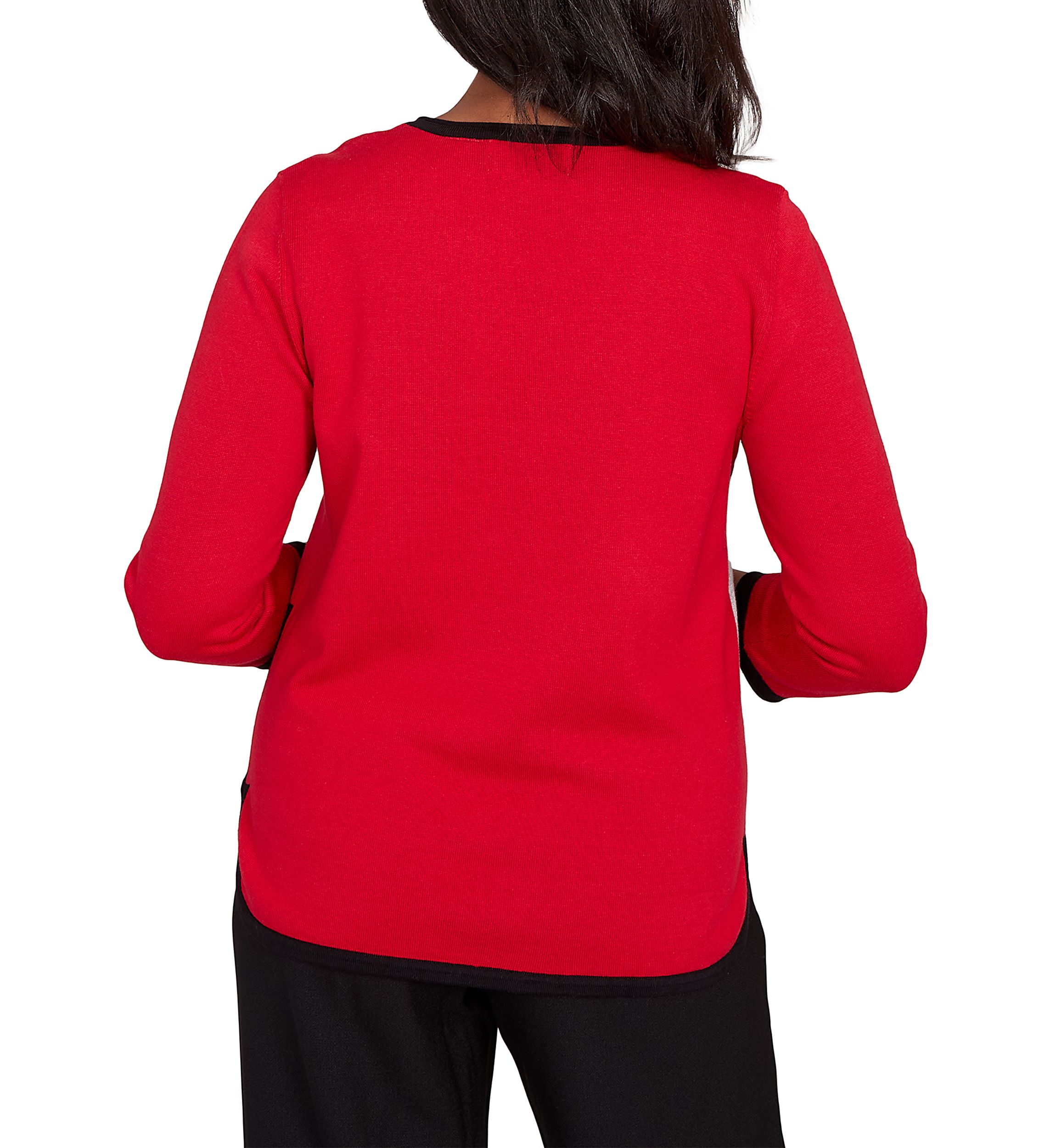 Petite Classics Color Block Sweater 