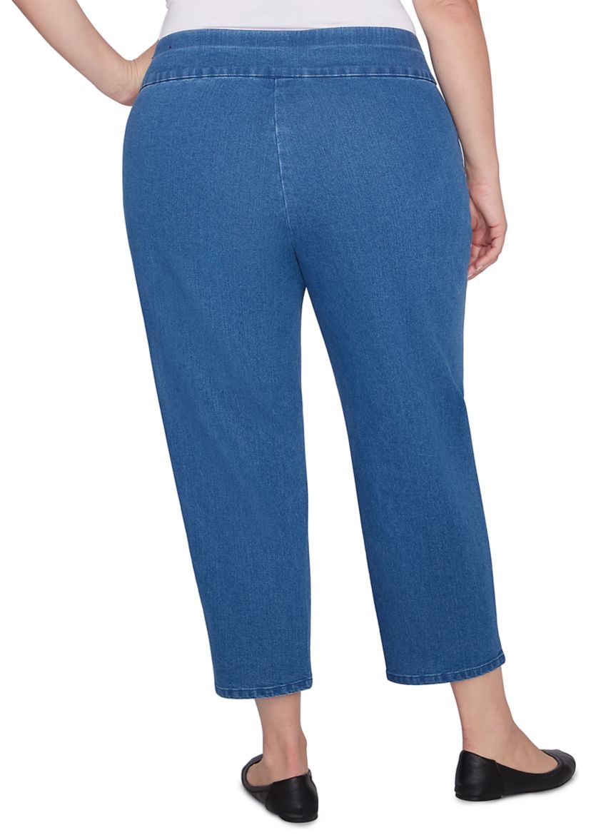 Plus Size Harvest Moon Paisley Floral Embroidered Ankle Pants