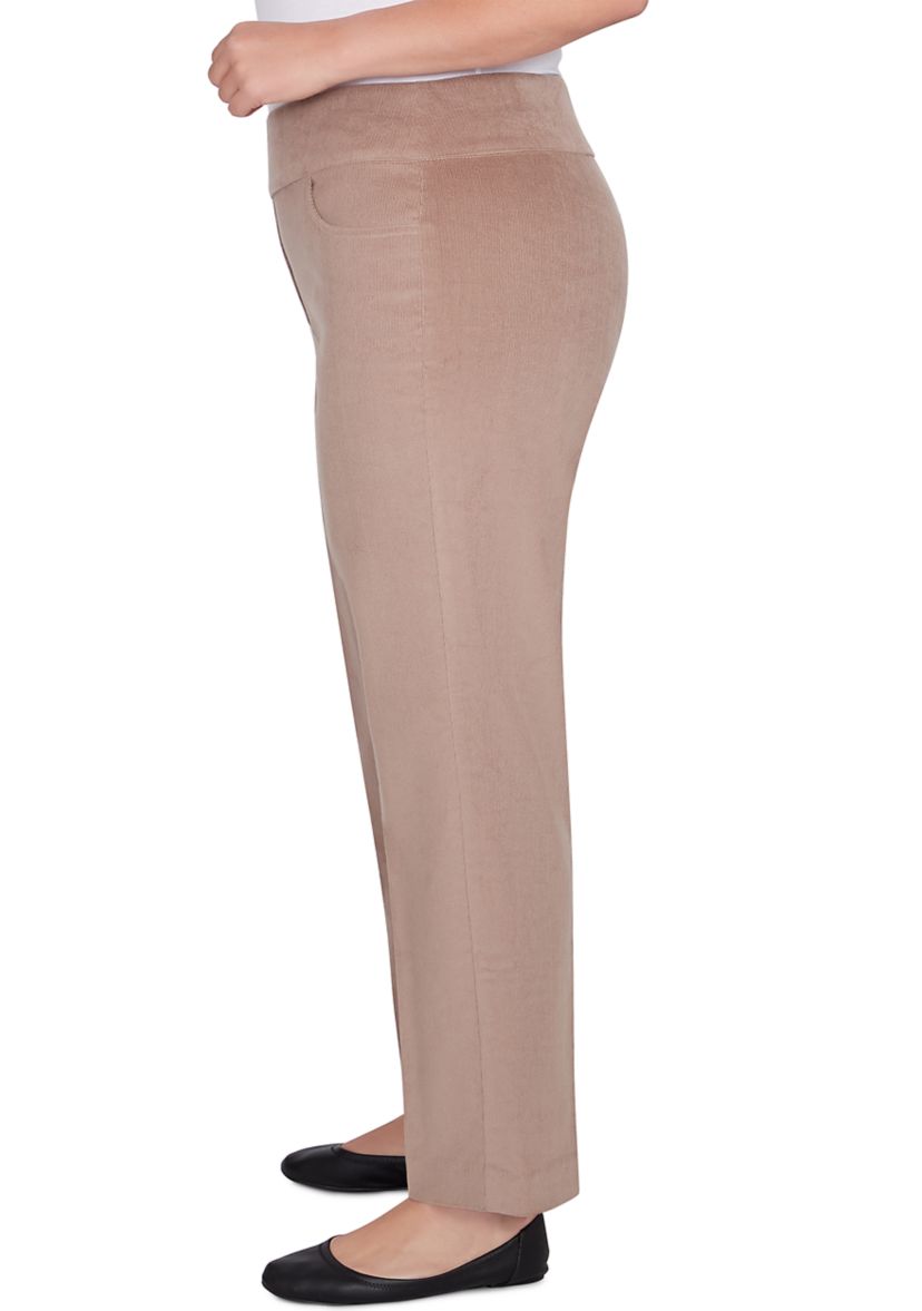 Plus Size Telluride Proportioned Short Pants