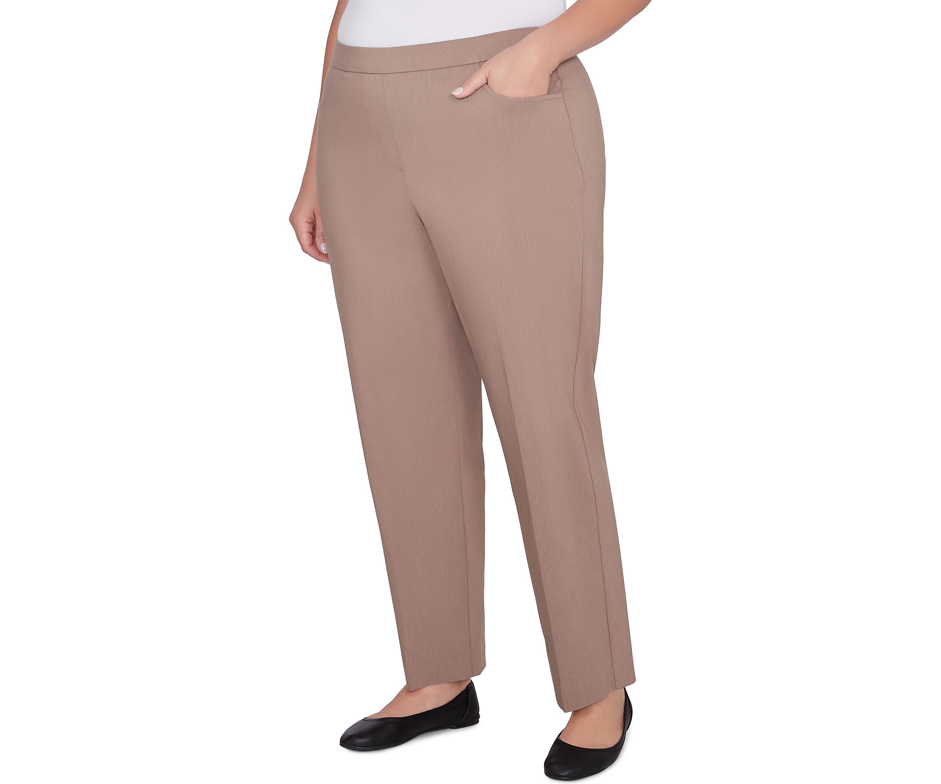 Plus Size Telluride Proportioned Short Pants