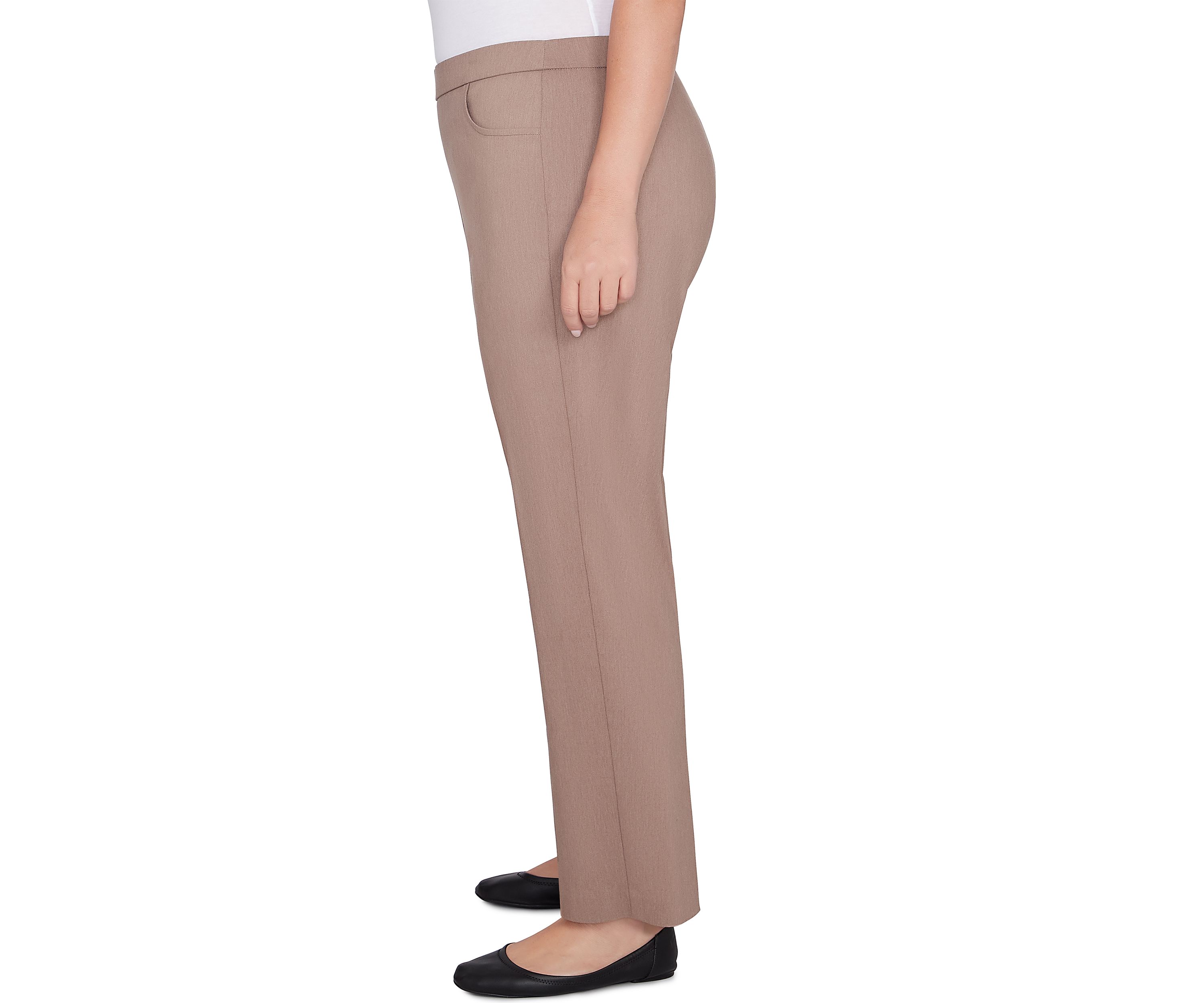 Plus Size Telluride Proportioned Short Pants