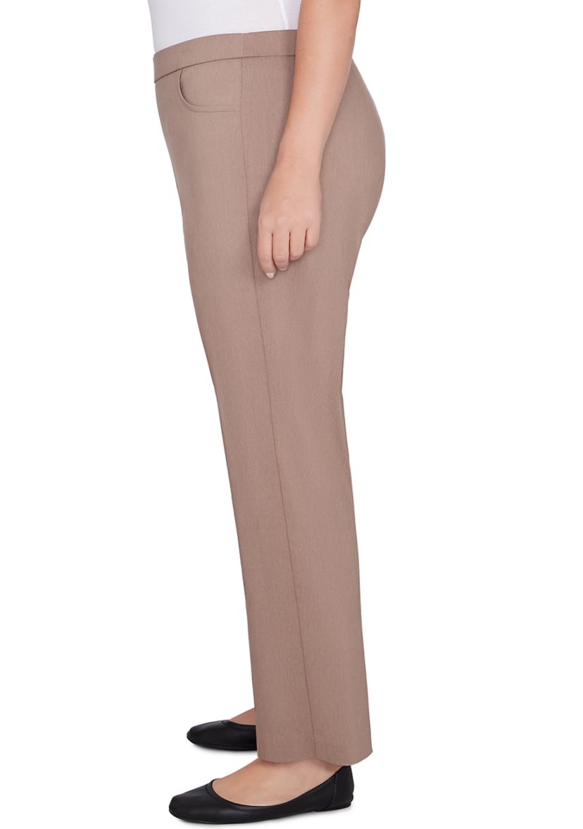 Plus Size Telluride Proportioned Short Pants