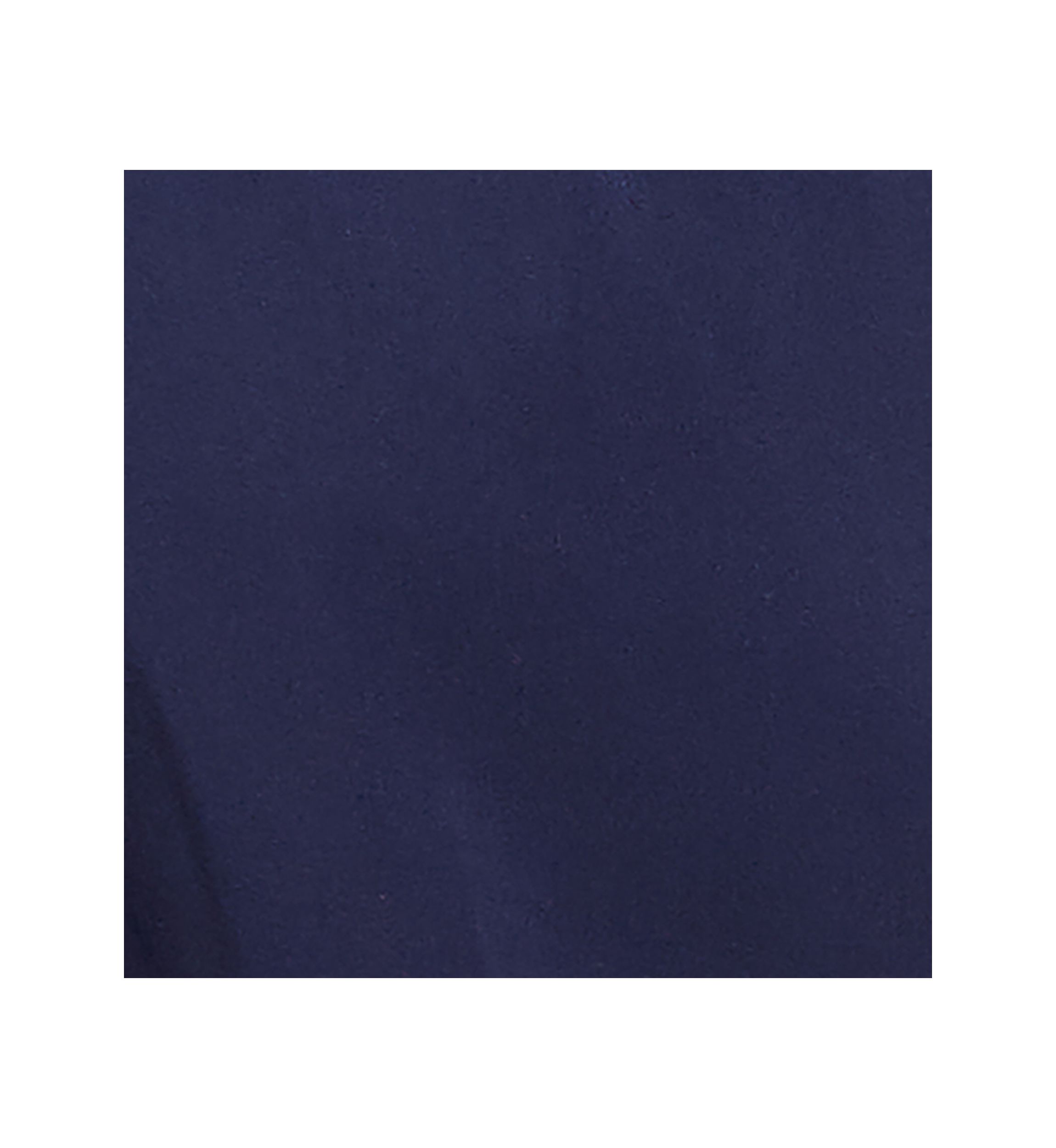 Womens  Block Island Proportioned Short Pants