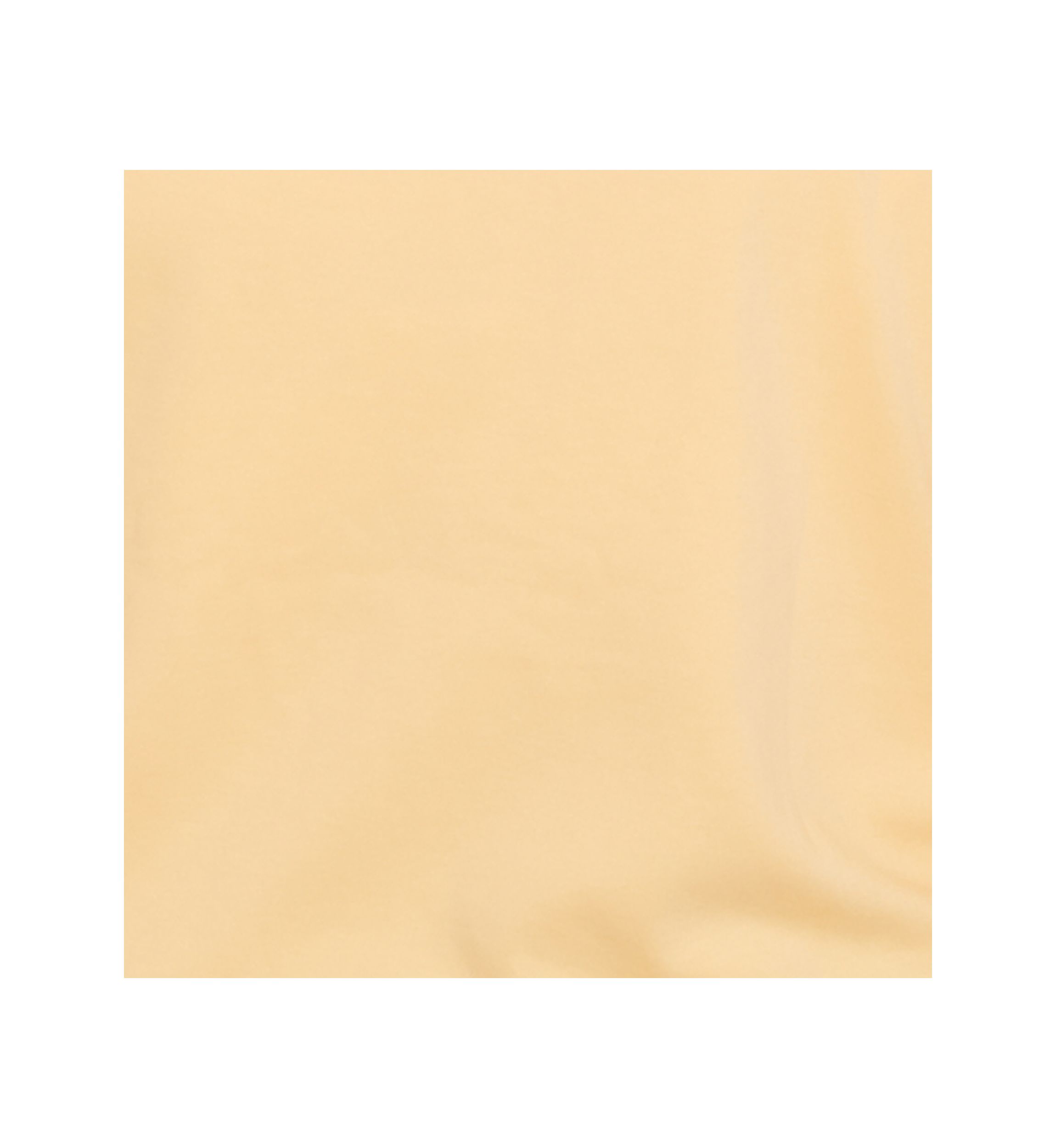 Plus Size Block Island Tonal Embroidered Yoke Top
