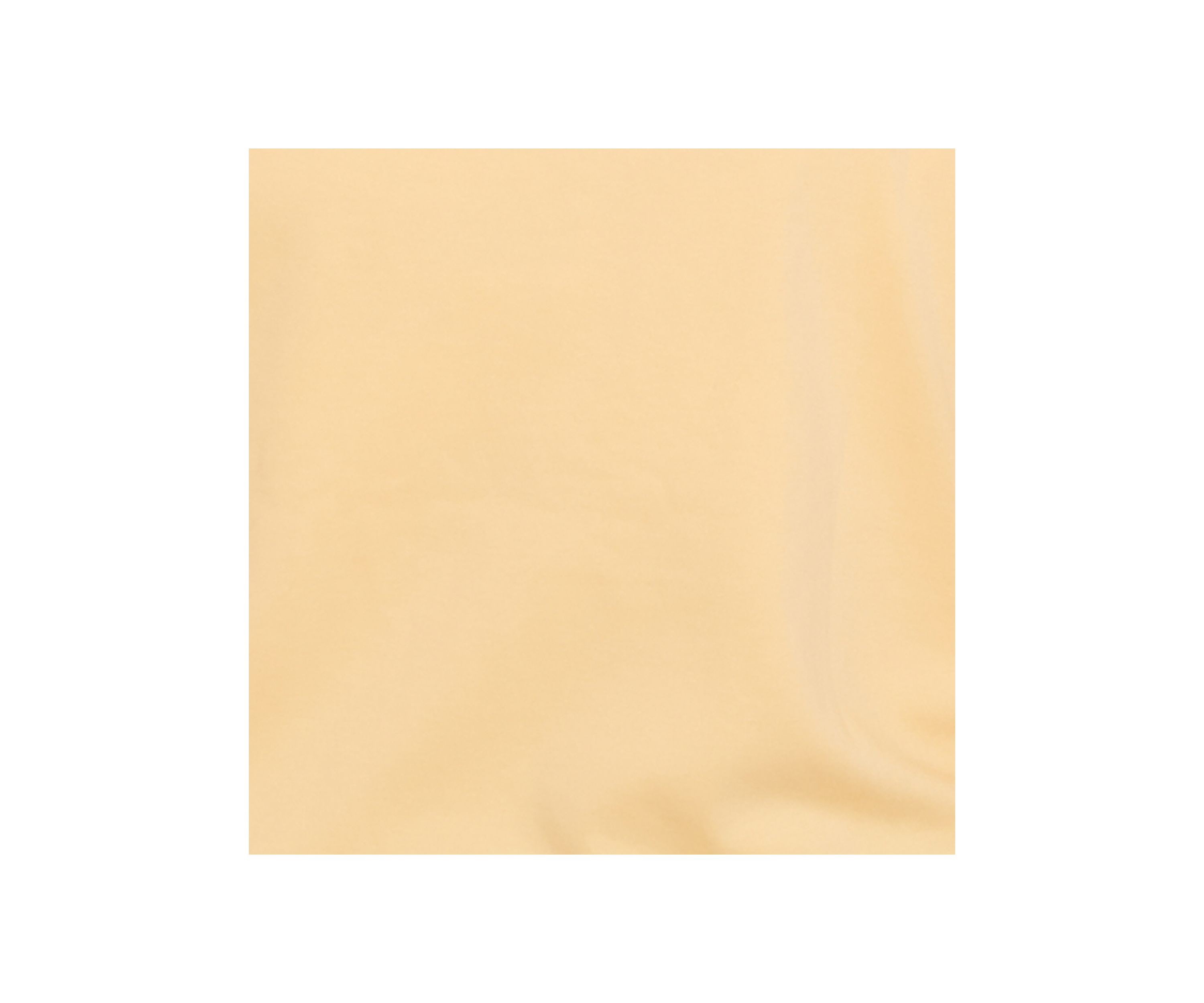 Plus Size Block Island Tonal Embroidered Yoke Top