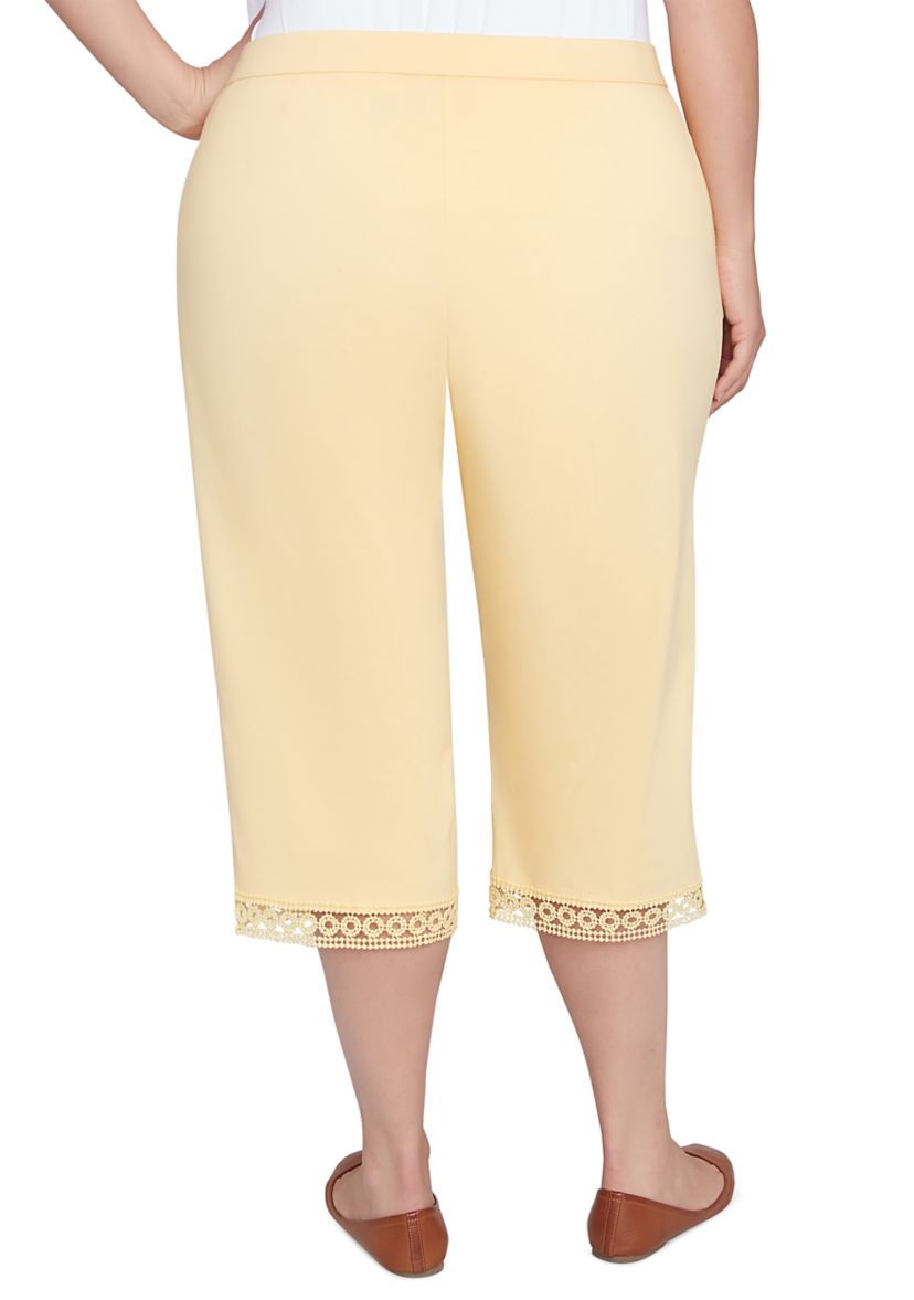 Plus Size Dress Code Capri Pants
