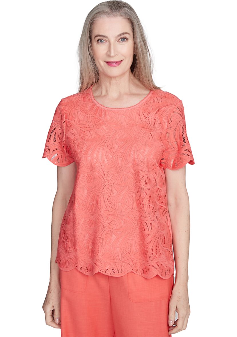 Petite Catalina Island Lace Texture Top
