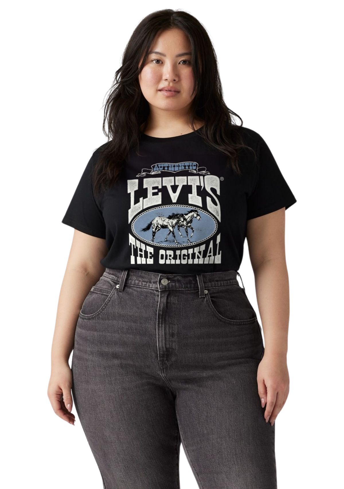 Plus Size Horse Poster Graphic T-Shirt 