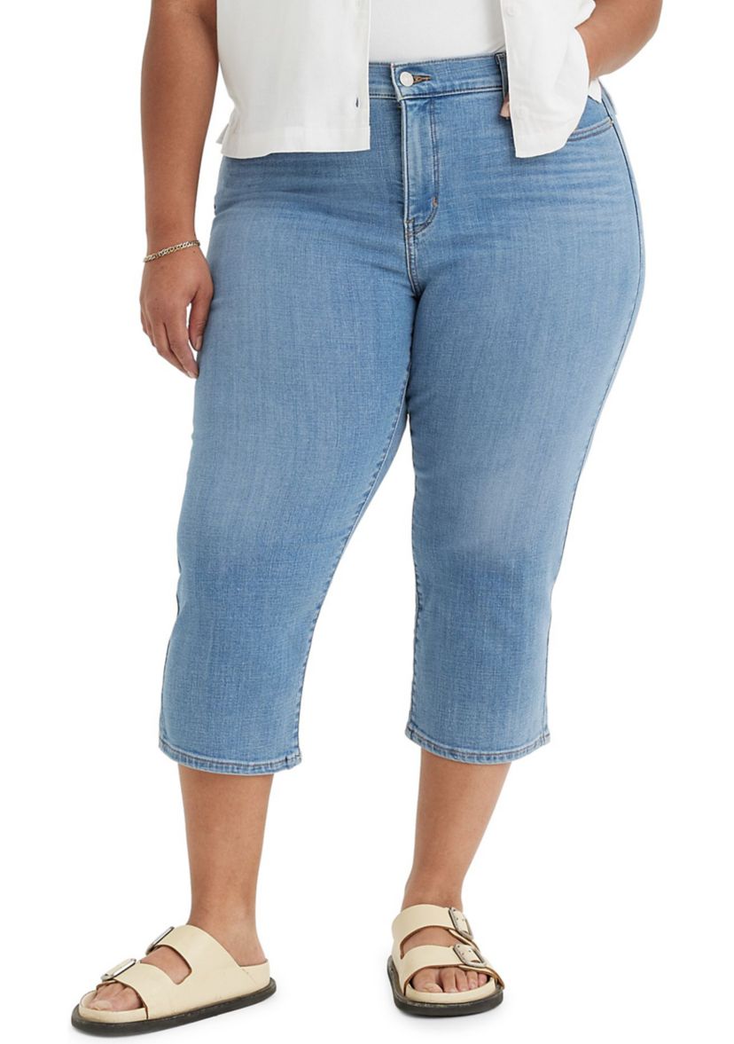 Plus Size Lapis Level Pants