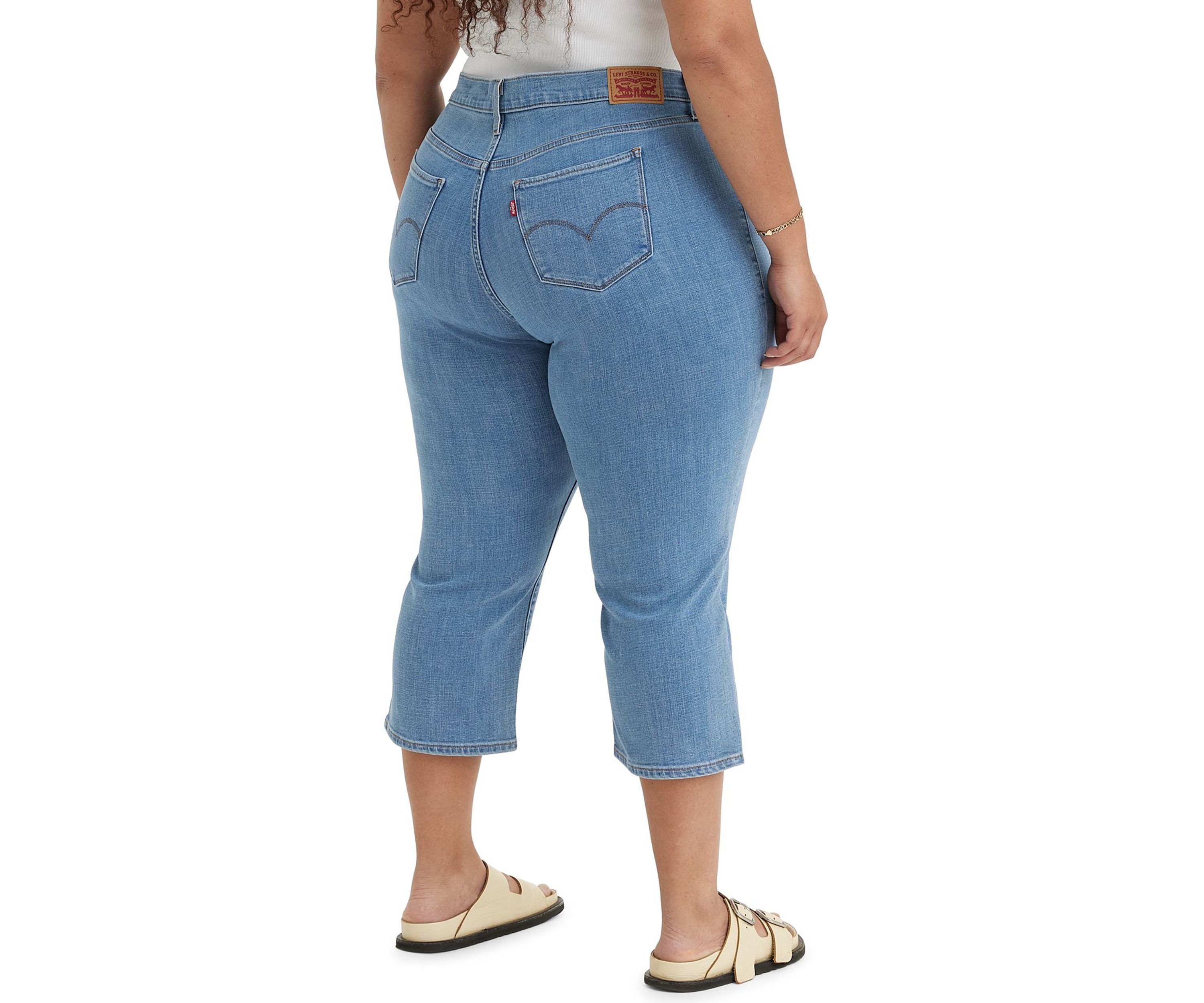 Plus Size Lapis Level Pants