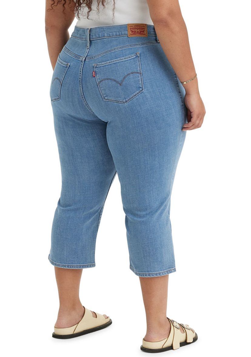 Plus Size Lapis Level Pants