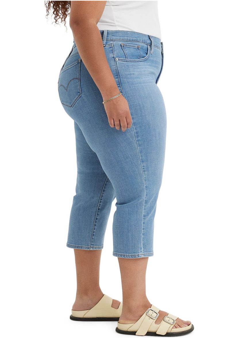 Plus Size Lapis Level Pants