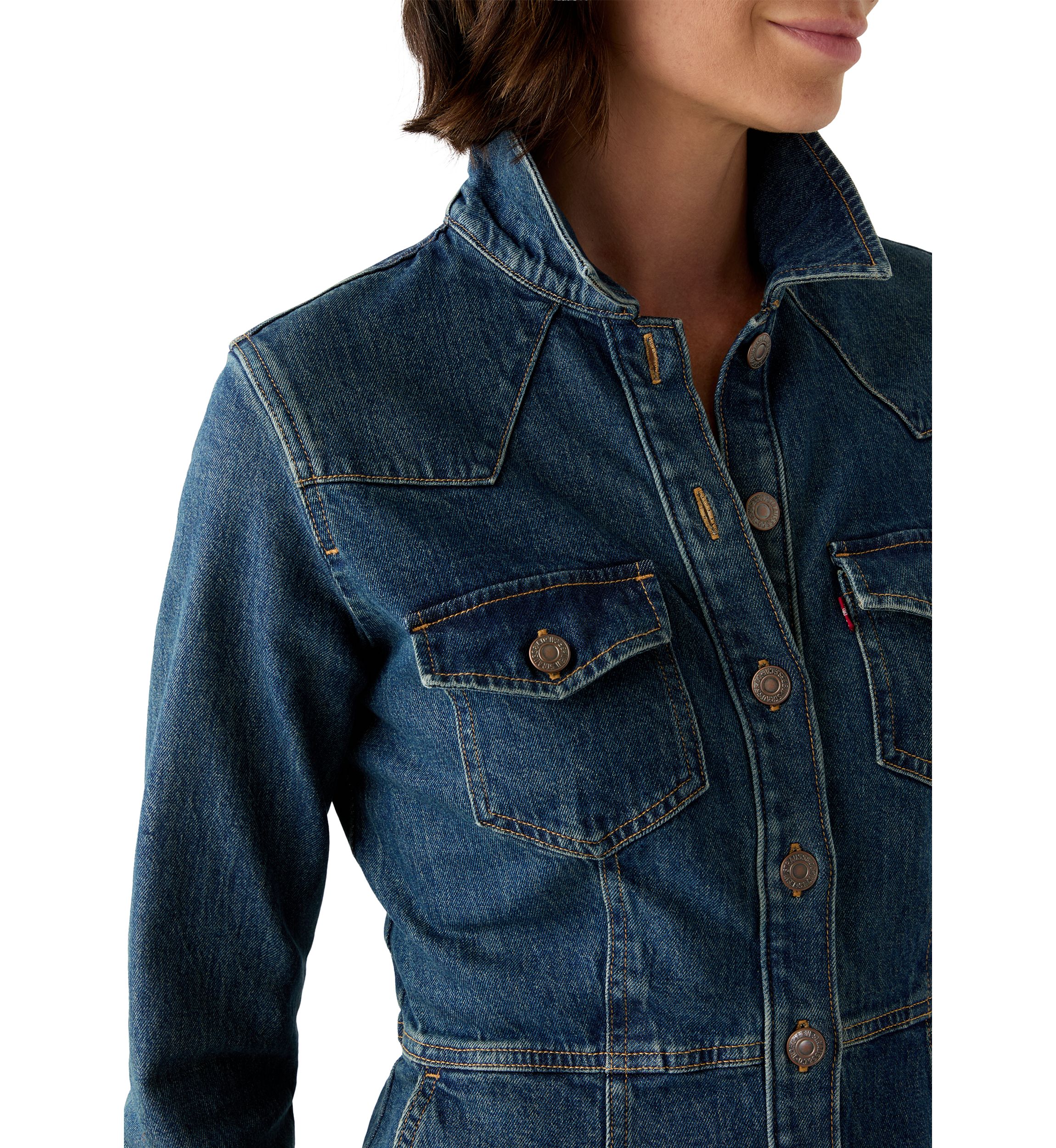 Flynn Western Dress