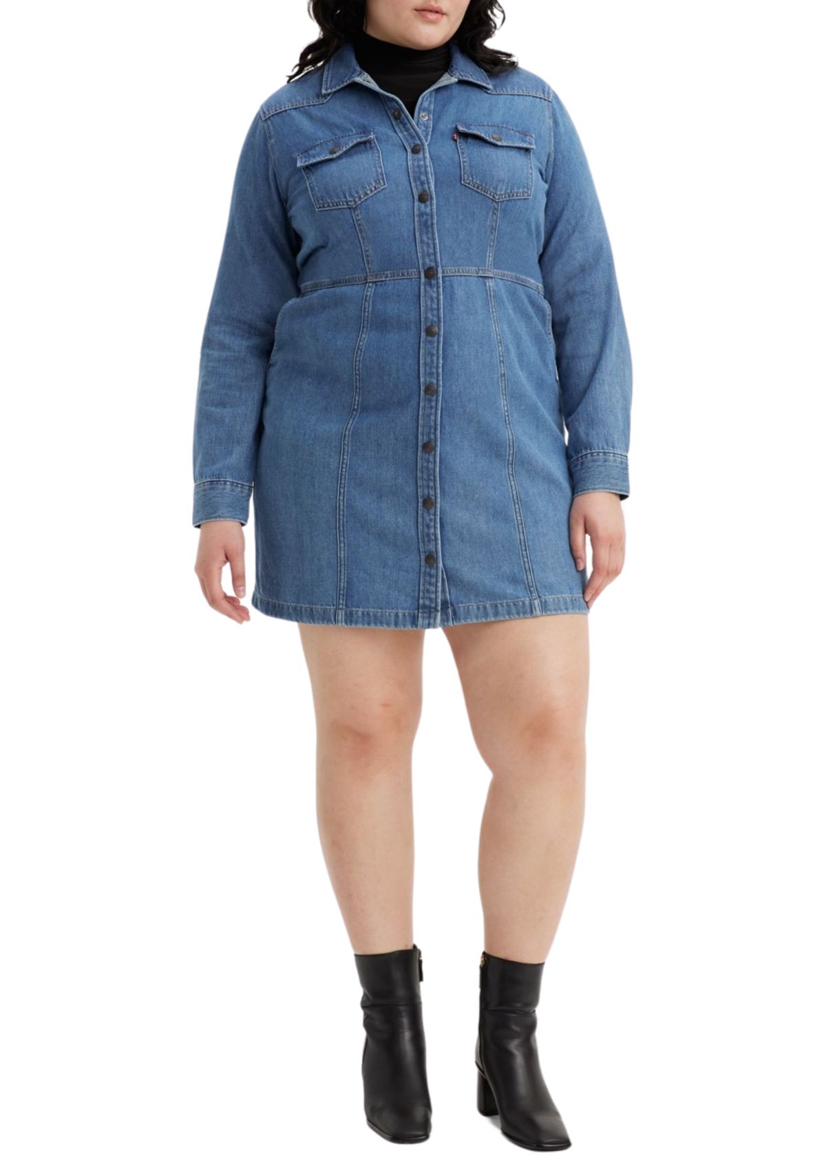 Plus Size Flynn Western Dress