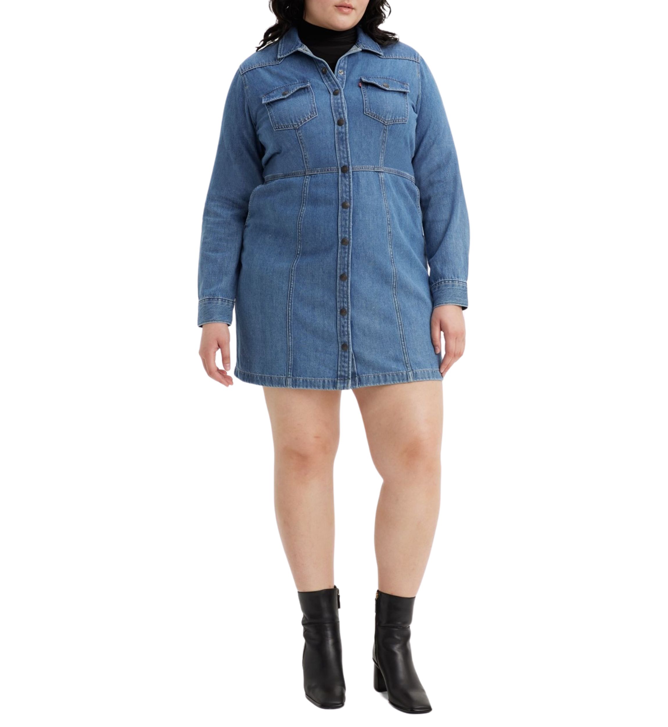 Plus Size Flynn Western Dress