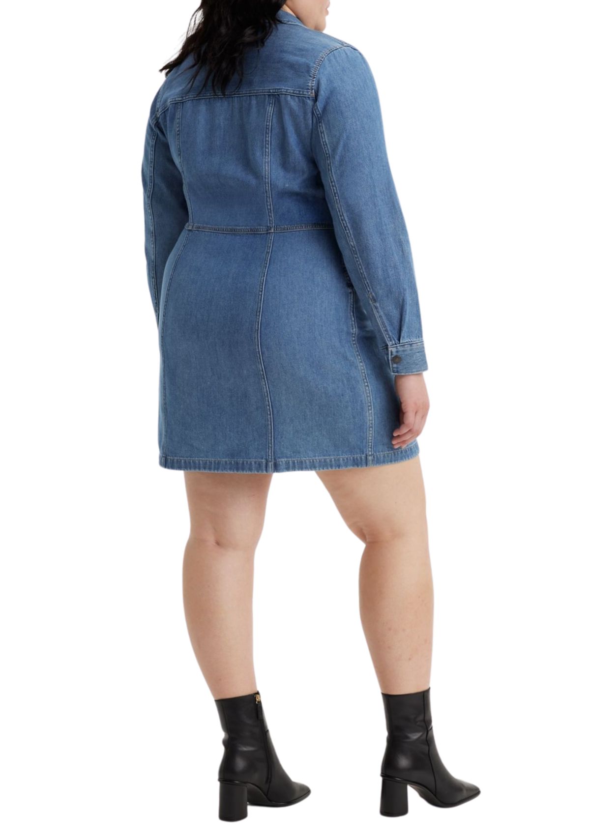 Plus Size Flynn Western Dress