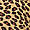 Incense Cheetah