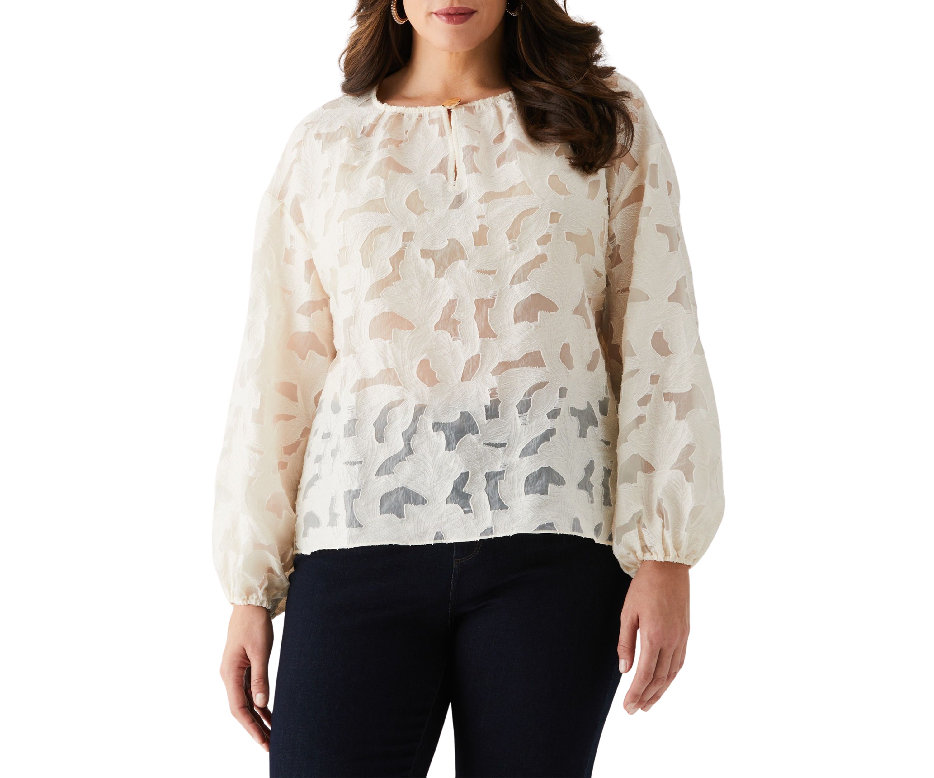Plus Size Clip Organza Long Sleeve Blouse