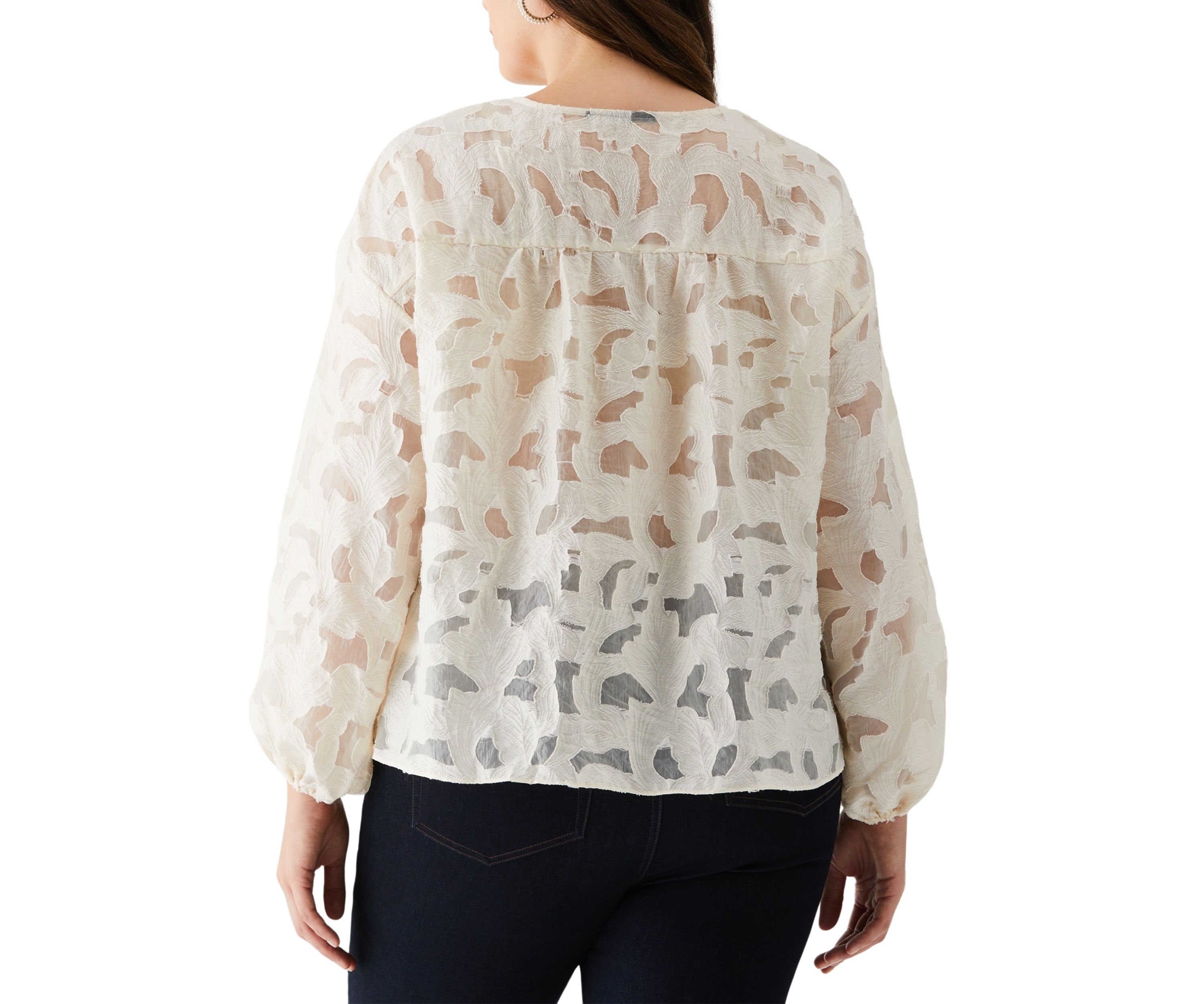 Plus Size Clip Organza Long Sleeve Blouse