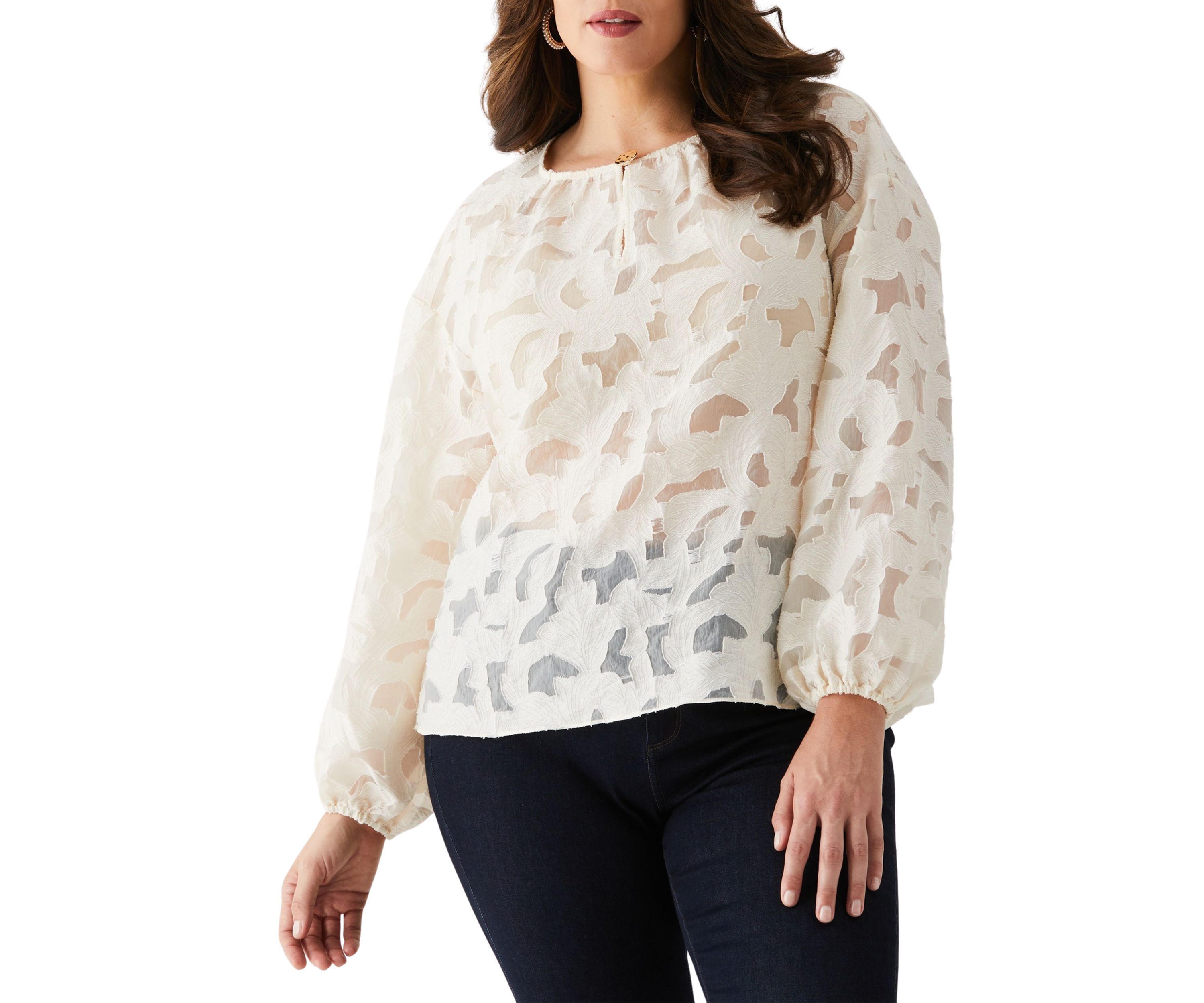 Plus Size Clip Organza Long Sleeve Blouse