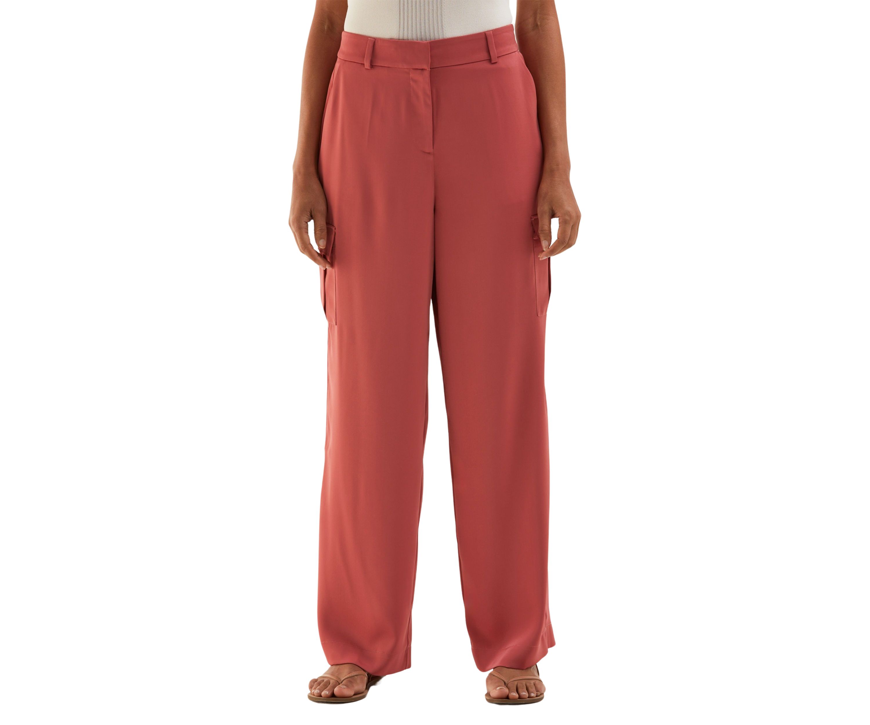 Petite Shine Cargo Pants