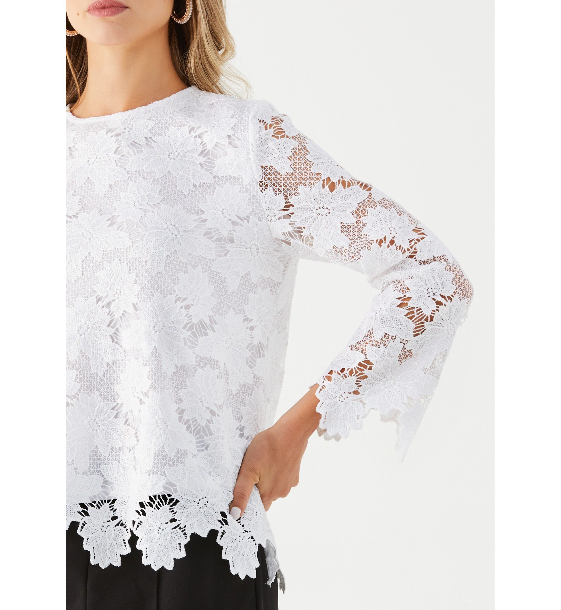 Petite Scalloped Lace Long Sleeve Blouse