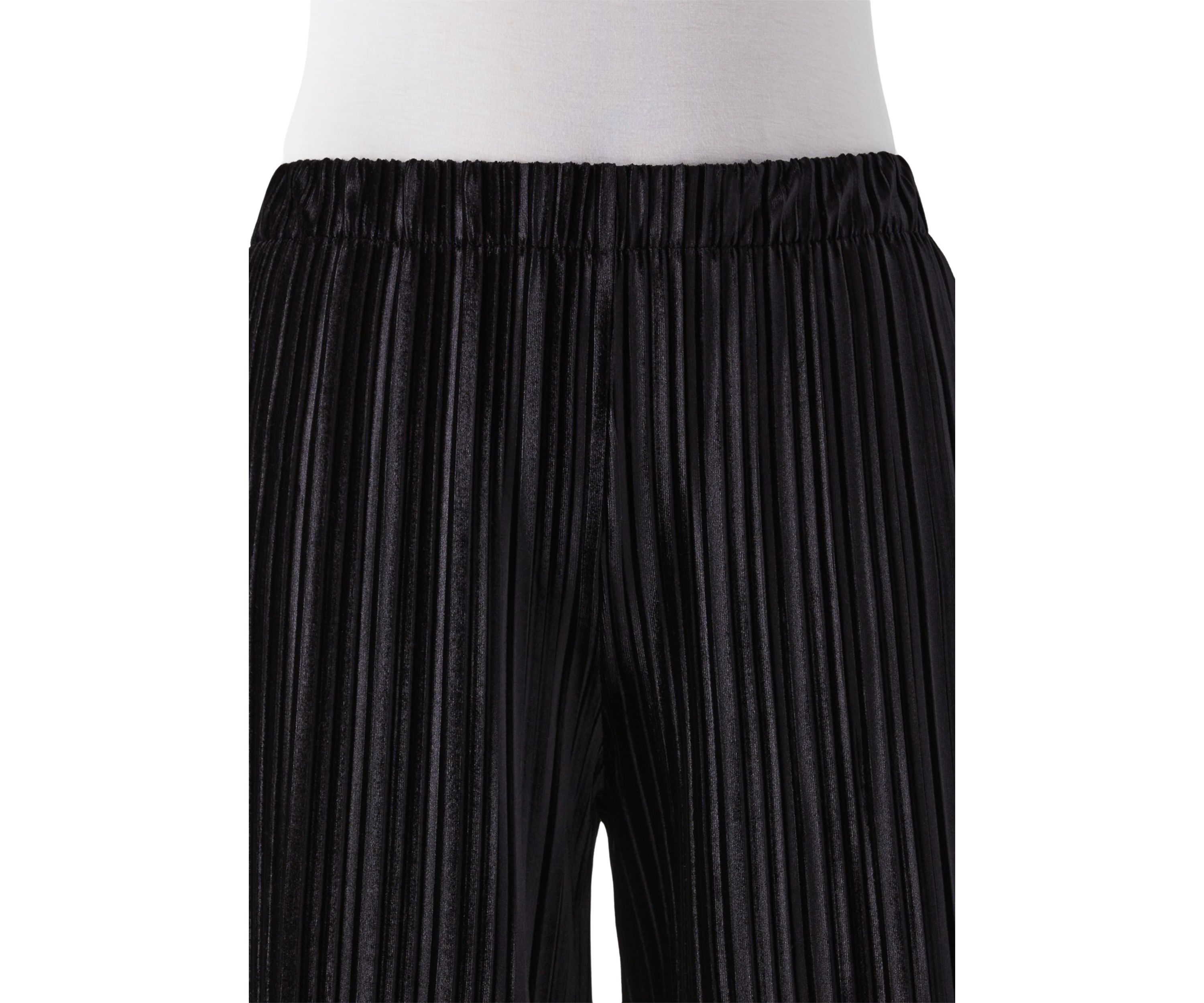 Pleated Velvet Wide Leg Pants