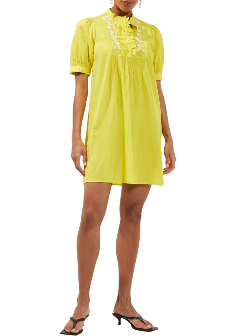 Puff Sleeve Embroidered Neck Dress
