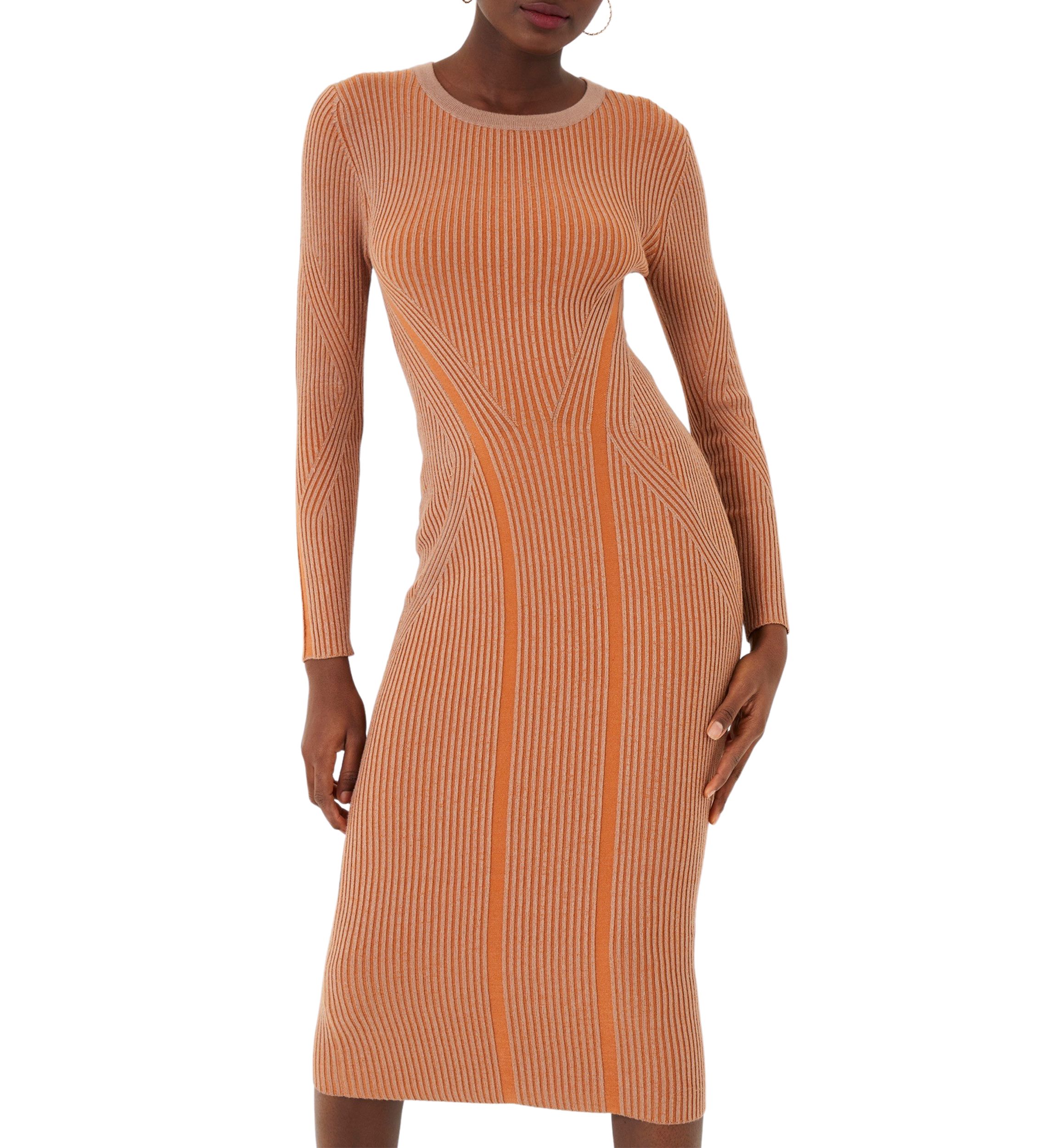 Simona Bodycon Long Sleeve Dress 