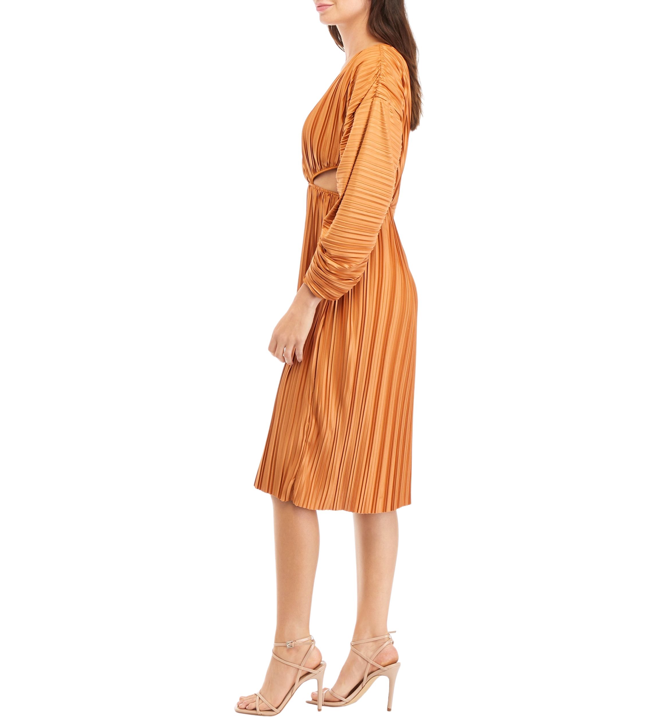 Regi Pleated Cut Out Dress