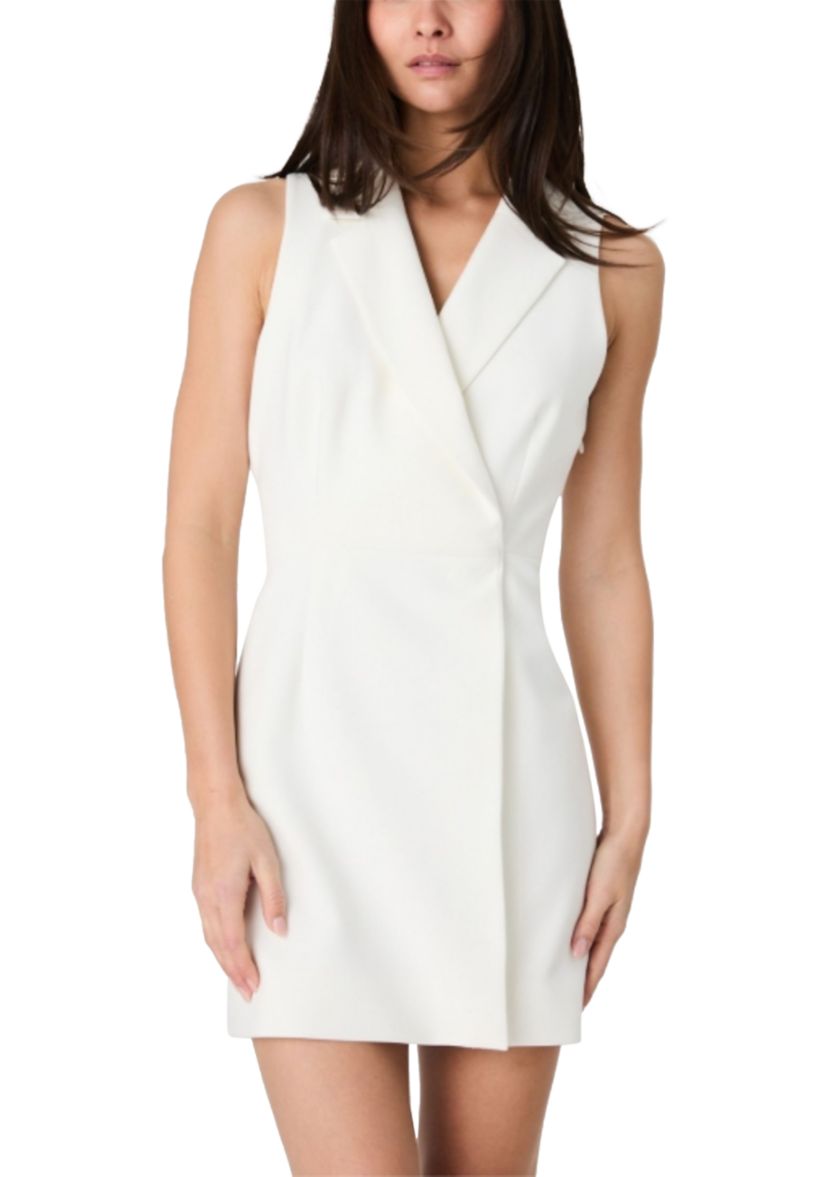 Whisper Double Breasted Mini Dress