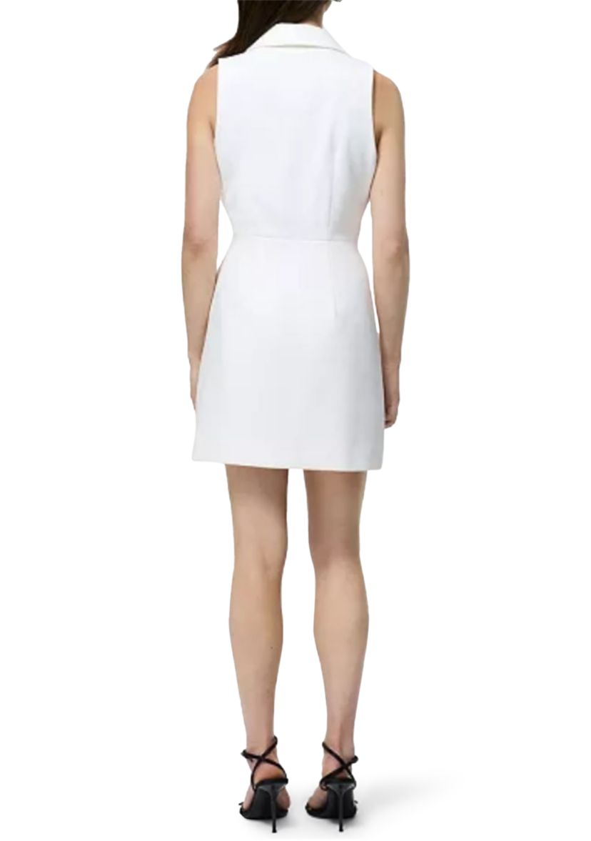 Whisper Double Breasted Mini Dress