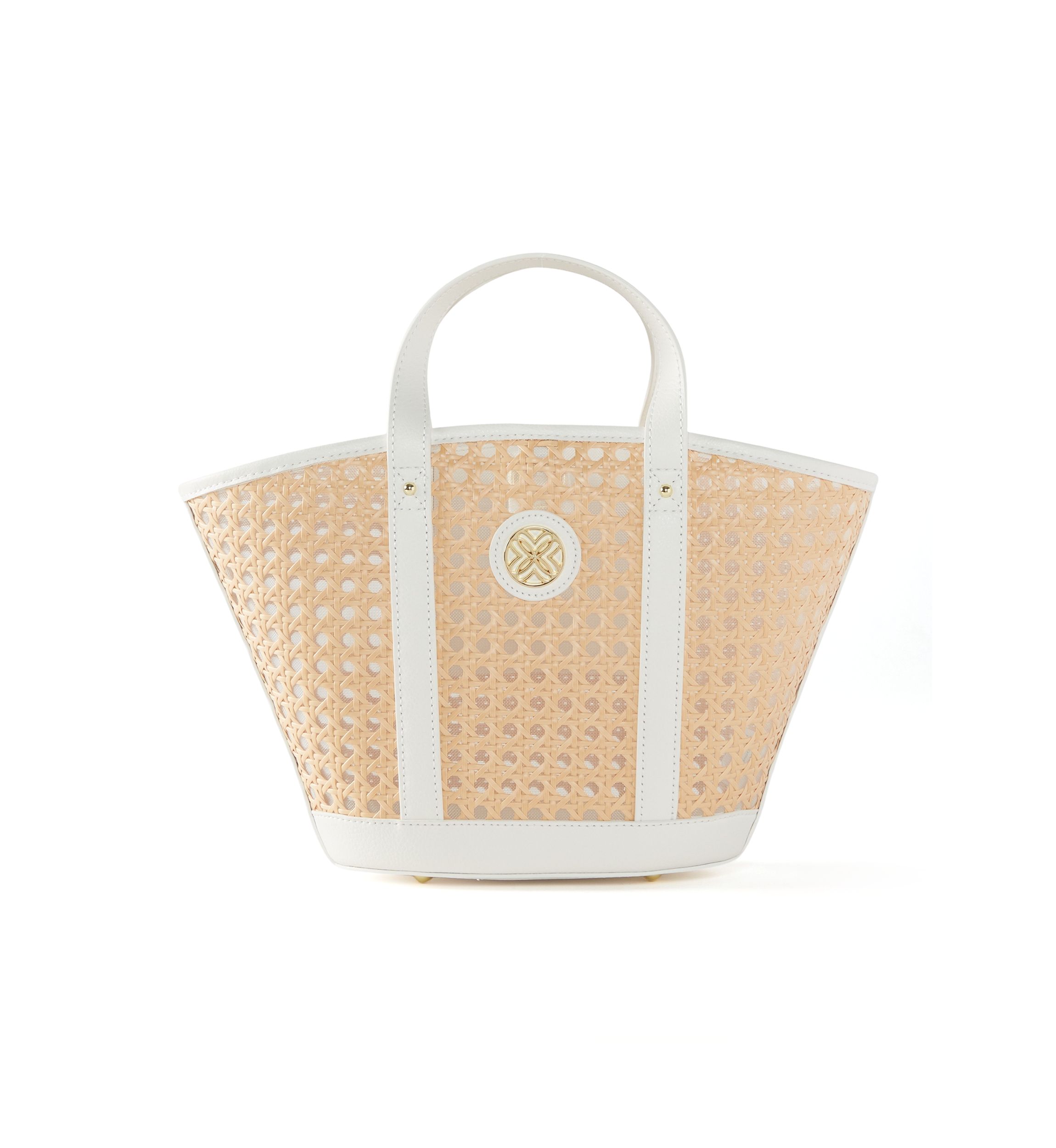 Mini Wintour Cane Bag