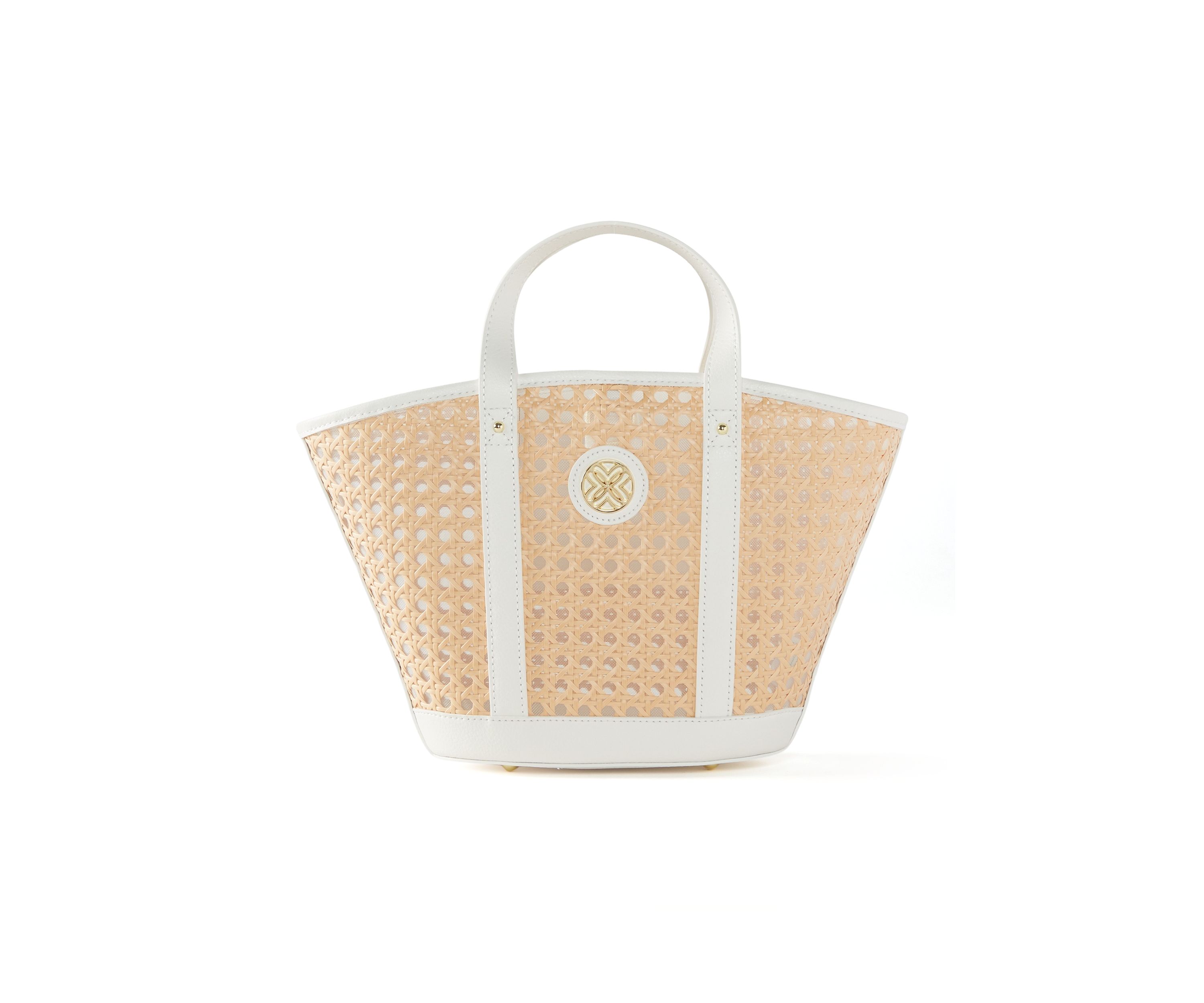 Mini Wintour Cane Bag