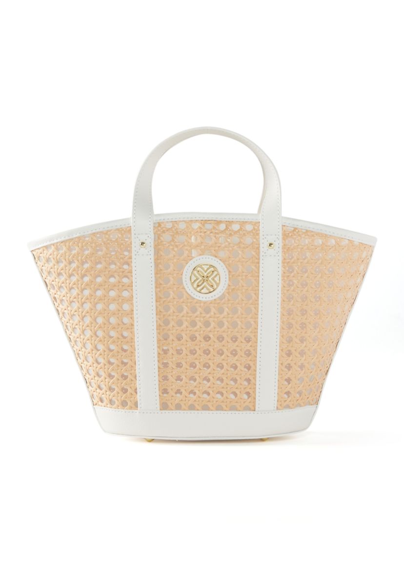 Mini Wintour Cane Bag