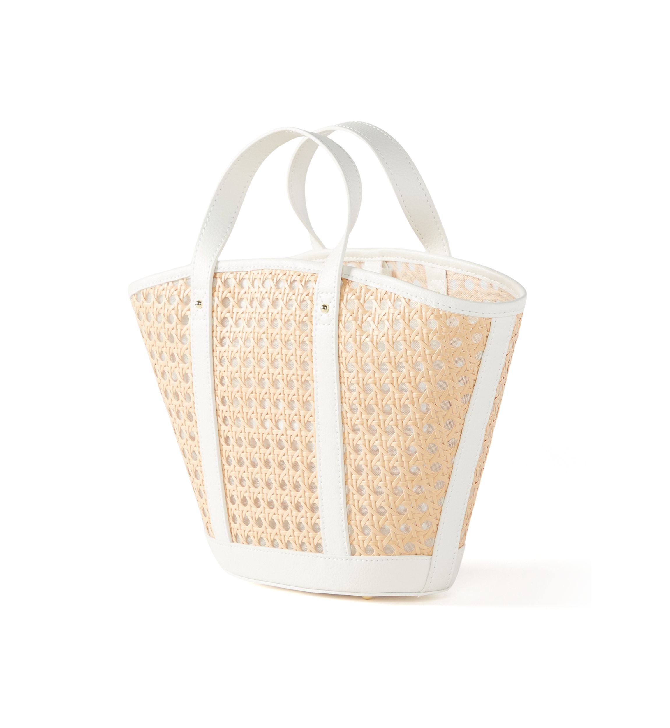Mini Wintour Cane Bag