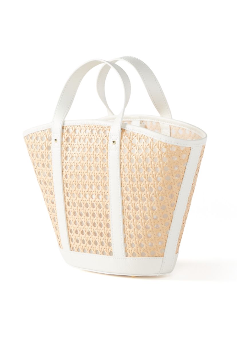 Mini Wintour Cane Bag
