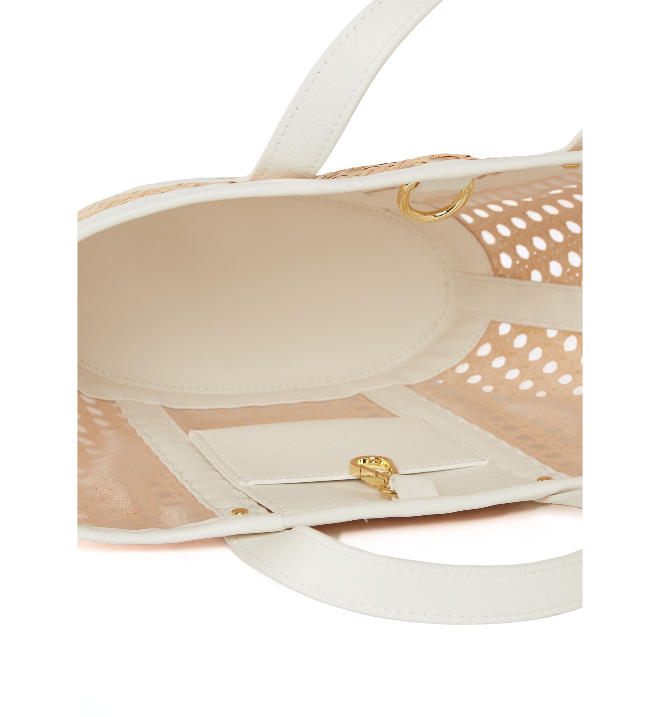 Mini Wintour Cane Bag