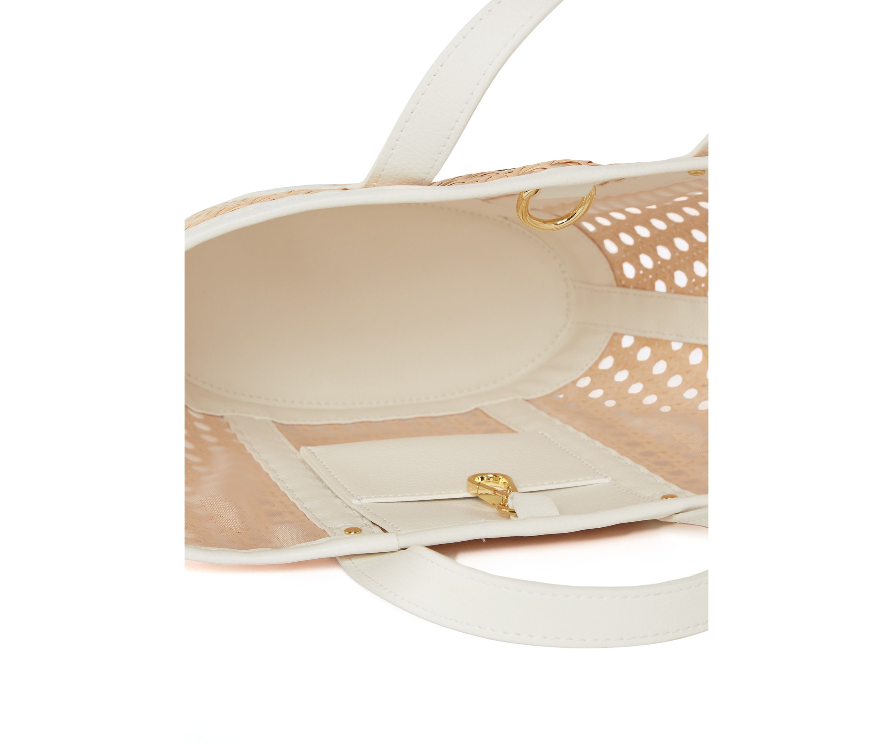 Mini Wintour Cane Bag