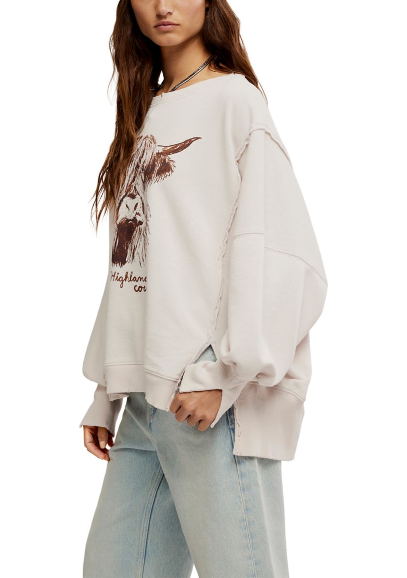 We The Free Graphic Camden Pullover Sweatshirt