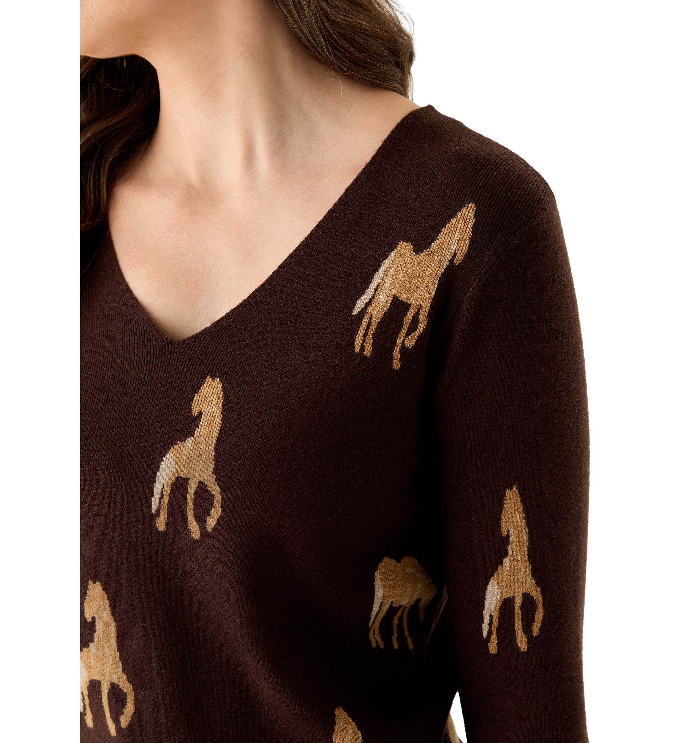 Womens V-Neck Printed Sweater