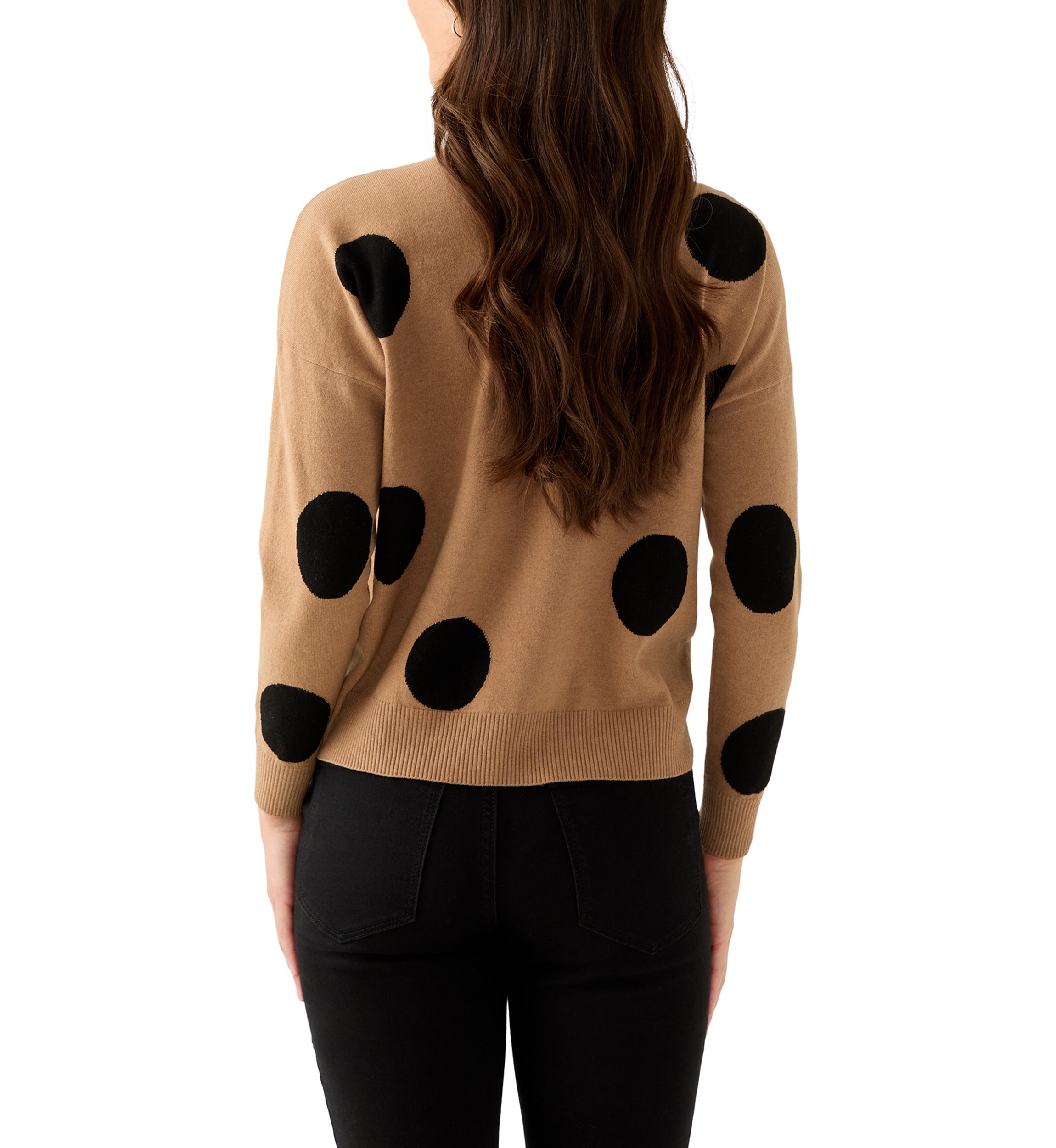 Petite Intarsia Pullover with Polka Dots