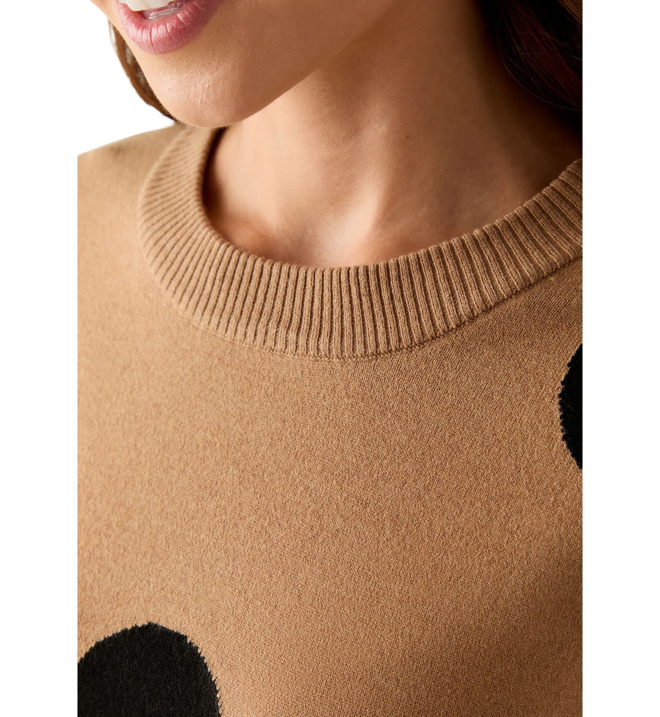 Petite Intarsia Pullover with Polka Dots